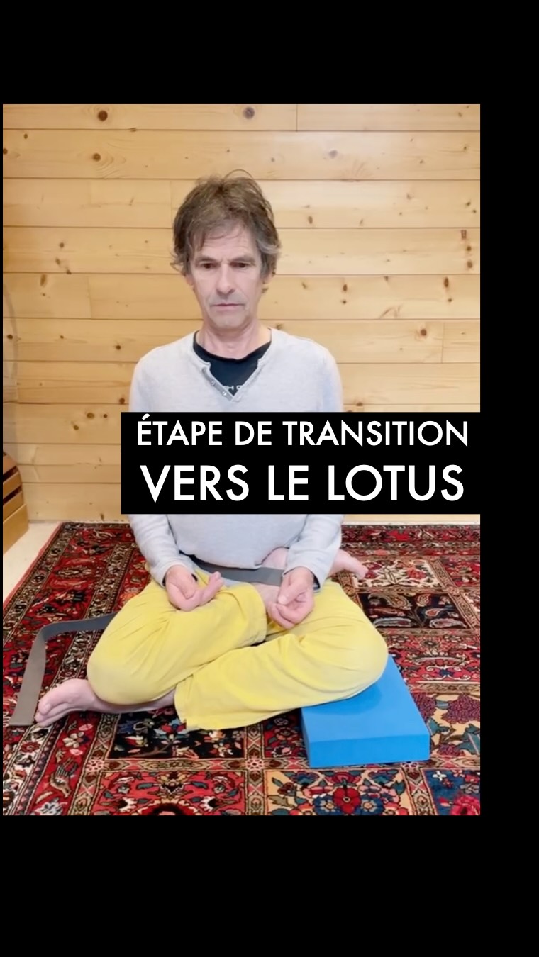 Vers le Lotus 🪷 : ne brûlez pas les étapes ! 🪜
Le passage au Lotus complet (Padmasana) est souvent la source de blessures aux genoux.
Pourquoi ? Parce qu’on oublie l’étape de transition indispensable.
Dans cette vidéo, Serge vous montre le demi-lotus « fermé ». Une préparation exigeante qui demande une rigueur millimétrée. 🧩
Ici, on ne cherche pas à « forcer » la souplesse, on installe une structure :
🔹 La brique : elle permet de réaliser l’antéversion du bassin nécessaire à la mobilité de la hanche.
🔹 La cale : elle vient stabiliser le genou pour offrir un appui sûr.
🔹 La sangle : elle stabilise l’ossature et garantit l’alignement de la cheville.
En Yogathérapie Posturale, on ne subit pas la posture : on la construit. C’est cette solidité qui permet une progression réelle et durable. 💎✨
🔍 Envie d’approfondir cette approche et de stabiliser votre pratique ?
Commentez ‘INFOS’ sous ce post et je vous enverrai le programme de nos prochains stages et ateliers sur la Yogathérapie Posturale et l’aplomb. 🧱✨
#Yogathérapie #LotusYoga #ArdhaPadmasana #AnatomieYoga #SergeEtCathYoga