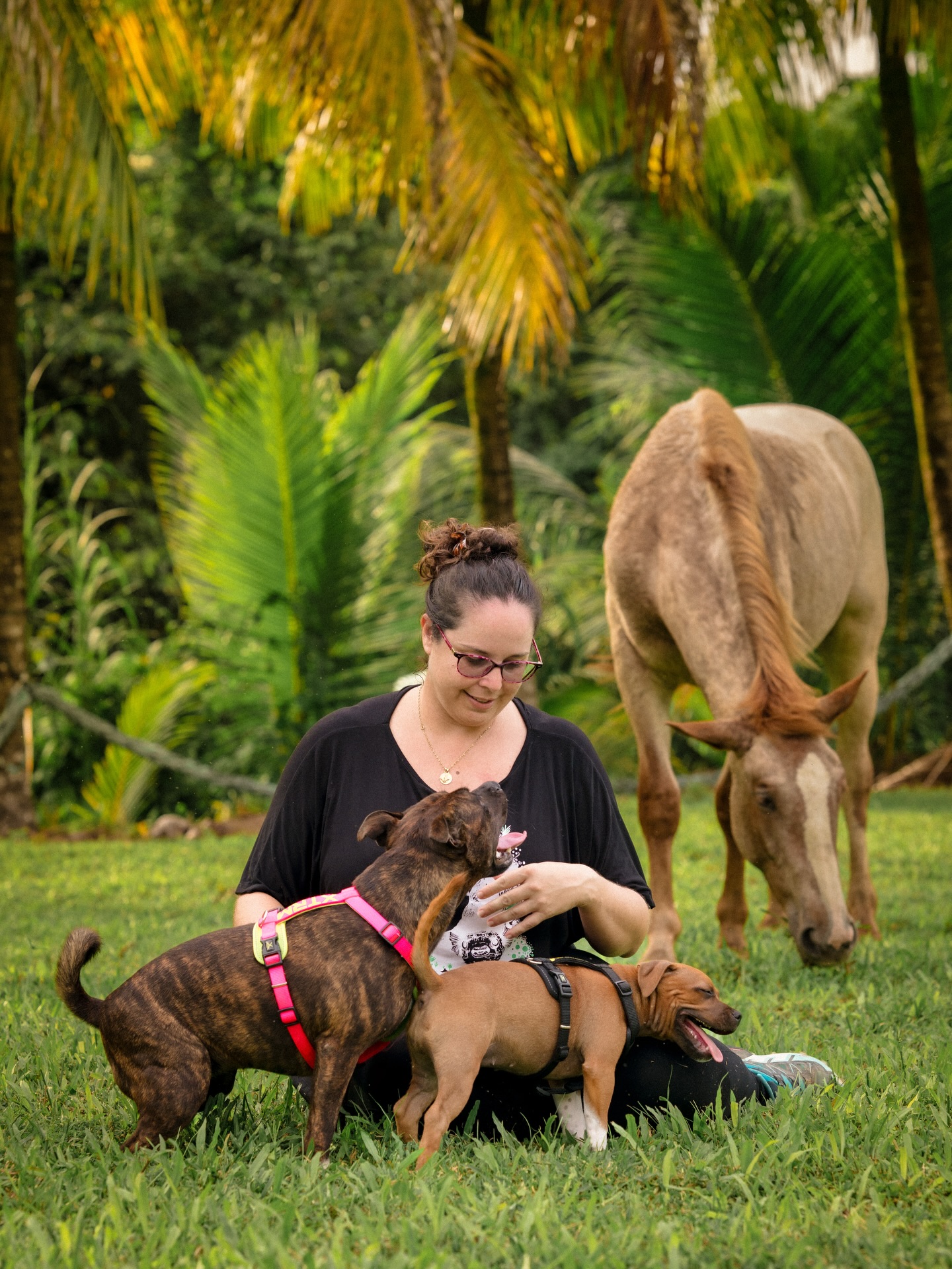 une complicité qui ne s’explique pas.
Je photographie vos animaux comme des membres de votre famille, parce qu’ils font partie de votre histoire, de votre quotidien, de votre cœur.
Des souvenirs simples, authentiques, et surtout remplis d’amour. 🐾✨
#seancephoto #animaux #photodefamille #photographeanimaliere #animalphotography