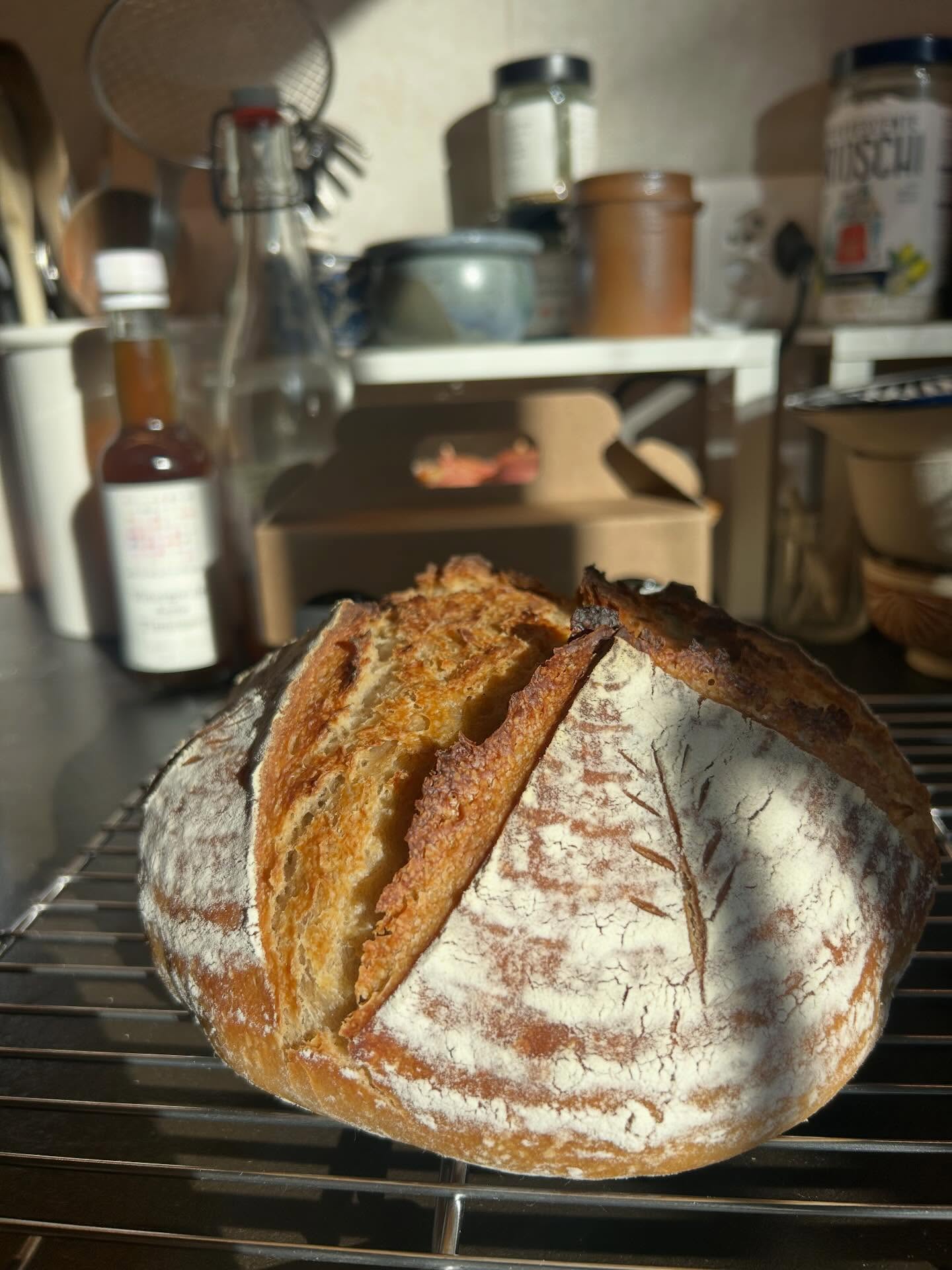 Back with a fresh loaf of sourdough 🌞
Have a loafly day 😘