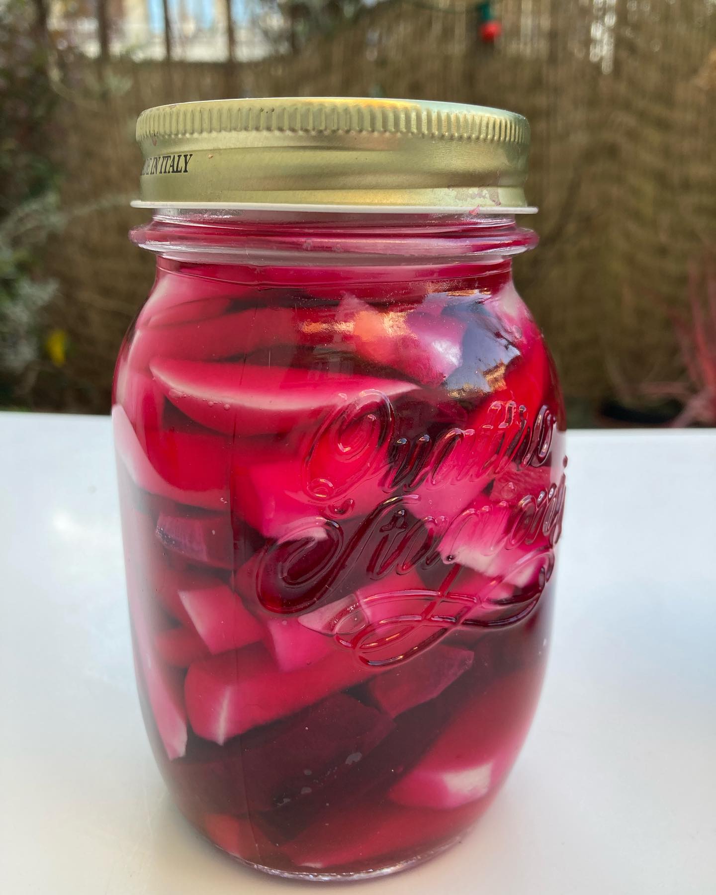 Pickles de navets à la libanaise!
J’en fais quoi de ma petite collection de navets, radis blanc, rouge, violet que je viens de vous dessiner?
Envie de continuer dans la couleur, en les associant à de la betterave crue, pour un joli colorama de pickles de navets à la libanaise!
Pour 3 à 4 pots: 900g de navets, 200g de betterave crie, 3 housses d’ail, 2 feuilles de laurier, 150g de sucre, 1 c.à soupe de gros sel, 500ml d’eau, 300ml de vinaigre blanc.
Stériliser à l’eau bouillante les bocaux. Les faire sécher sur un torchon.
Verser l’eau, le vinaigre, le sel, le sucre et le laurier dans une casserole, porter à ébullition, baisser le feu et laisser mijoter le temps d’éplucher et vous un er les légumes.
Éplucher tous les légumes, les couper en petits bâtonnets de 1cm sur 4cm. Éplucher l’ail et le couper en petits morceaux.
Poser les bâtonnets dans les bocaux, bien à plat, en alternant les couleurs et un peu d’ail. Bien tasser.
Enlever les feuilles de laurier et verser le liquide chaud sur les radis jusqu’à recouvrir entièrement les bâtonnets. Bien fermer les bocaux, les garder au frais après qu’ils aient refroidis.
Vous pouvez les consommer 48h après et les conserver 1 mois maximum au frigo!
NB: Ces très jolis pickles accompagneront à merveille vos salades composées, viande ou poisson. Ils se consomment comme des cornichons! Ils apporteront la petite touche d’acidité nécessaire et sans excès à la saison de printemps, selon la Diététique chinoise!
Bonne dégustation!
#pickles #pickle #navet #radis #cuisinelibanaise #vinaigre #legumesauvinaigre #radicchio #radish #dietetiquechinoise #madreperlamtc