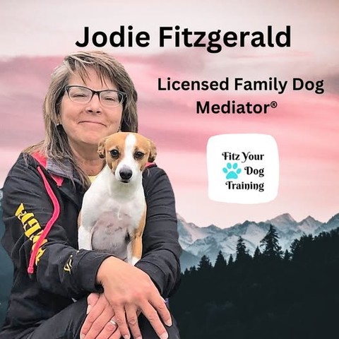 🐶 Struggling with Your Dog’s Behaviour? Let’s Find the Fitz! 🐶
Is your dog reactive on walks? Struggling with leash pulling, barking, or separation anxiety? Whether you’re dealing with aggression, recall issues, or noise sensitivity—Fitz Your Dog Training is here to help!
✅ Private Consultations & Assessments
✅ One-on-One Training Sessions
✅ Behaviour Assistance & Solutions
✅ Private Dog Park Rental
✅ Fun Agility & Rally, Life Skills & Manners
From puppies to seniors, I tailor training to fit your dog’s needs—building trust, confidence, and understanding. 🐾
📍 Based in Winnipeg Beach
📩 Message me to book your consultation today!
#FitzYourDog #DogTraining #ReactivityHelp #LeashManners #BarkingSolutions #LifeSkillsForDogs #HappyDogsHappyLife