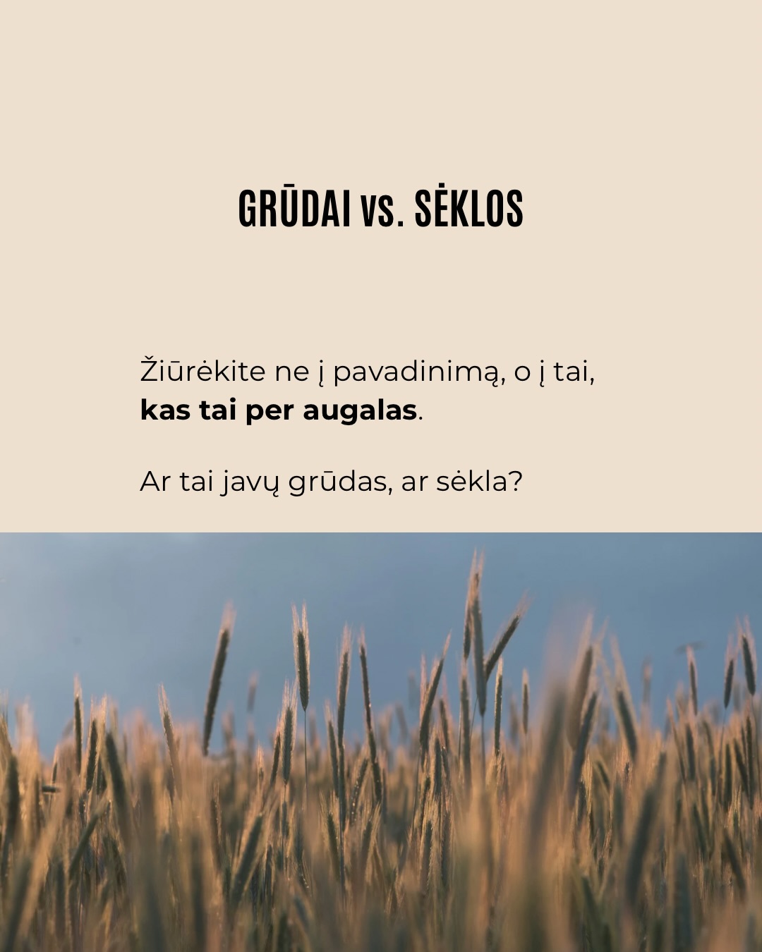 Karuselėje dalijamės labai paprastu būdu prisiminti, kurios kruopos turi gliuteno, o kurios – ne.
Sudomino? Sekite šią paskyrą, jei norite daugiau tokių patarimų ir receptų.