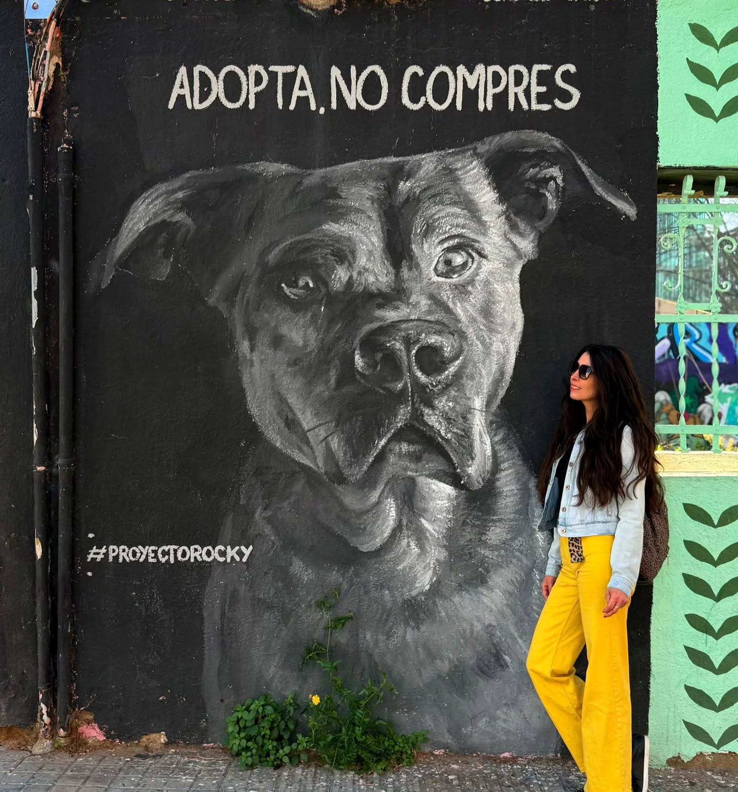 Adiós Barcelona ! Balade de barrios en barrios, l'architecture des bâtiments est juste incroyable, cure de vitamine D en prime ! Reprise demain avec le démarrage des travaux pour le chantier de Luc sur mer👍🏼.
#chantier #architecteinterieur #designerinterior #barcelone #decorateur