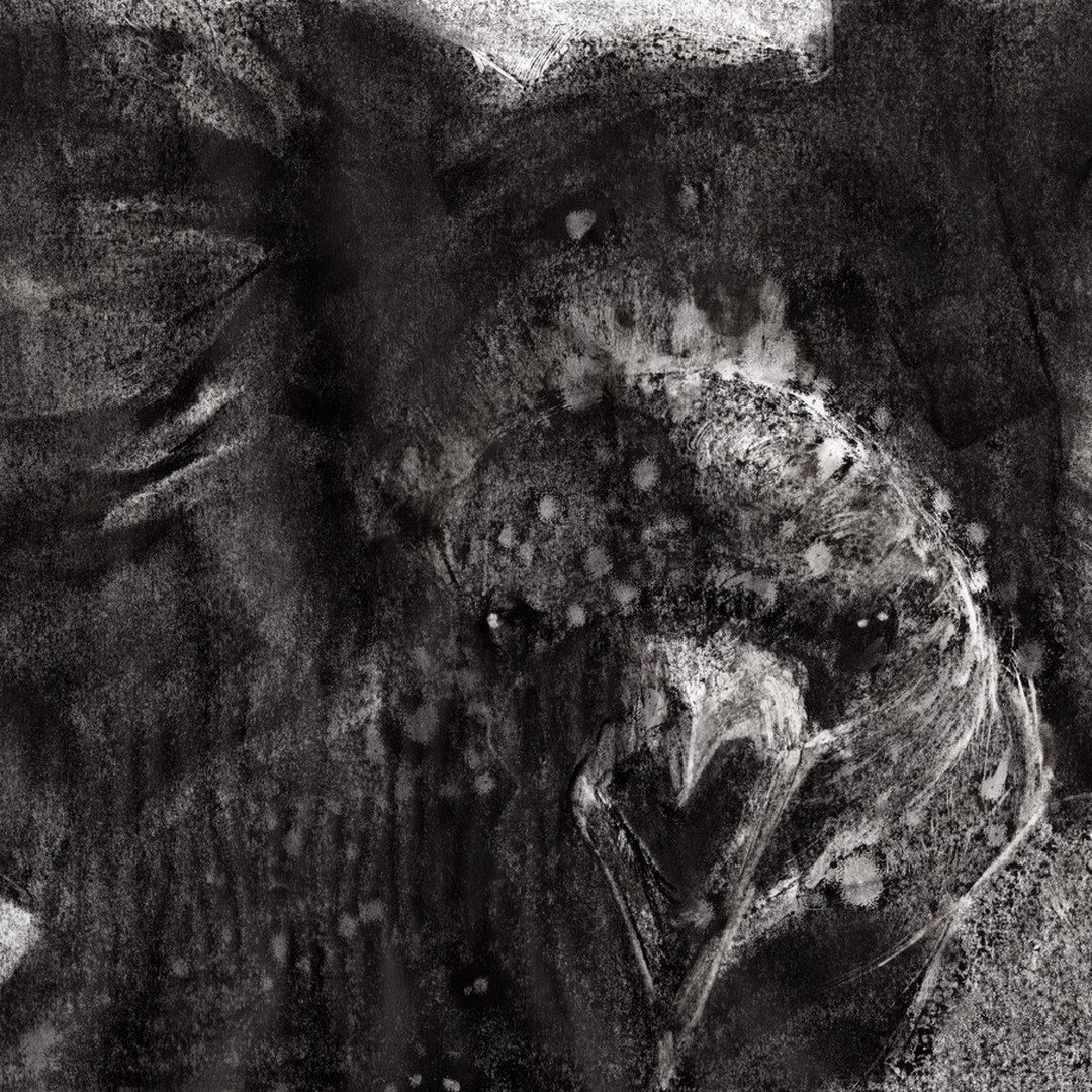 "The massive flight muscles of their breasts glowed hot from working the wings. And the crows’ heads were lit up like holiday lights. The energy of thought and coordination illuminated a darkening sky like strings of flying light bulbs." — Gifts of the Crow by John Marzluff and Tony Angell (2012)
#giftsofthecrow #crowdrawing #crowportrait #drawingsmatter