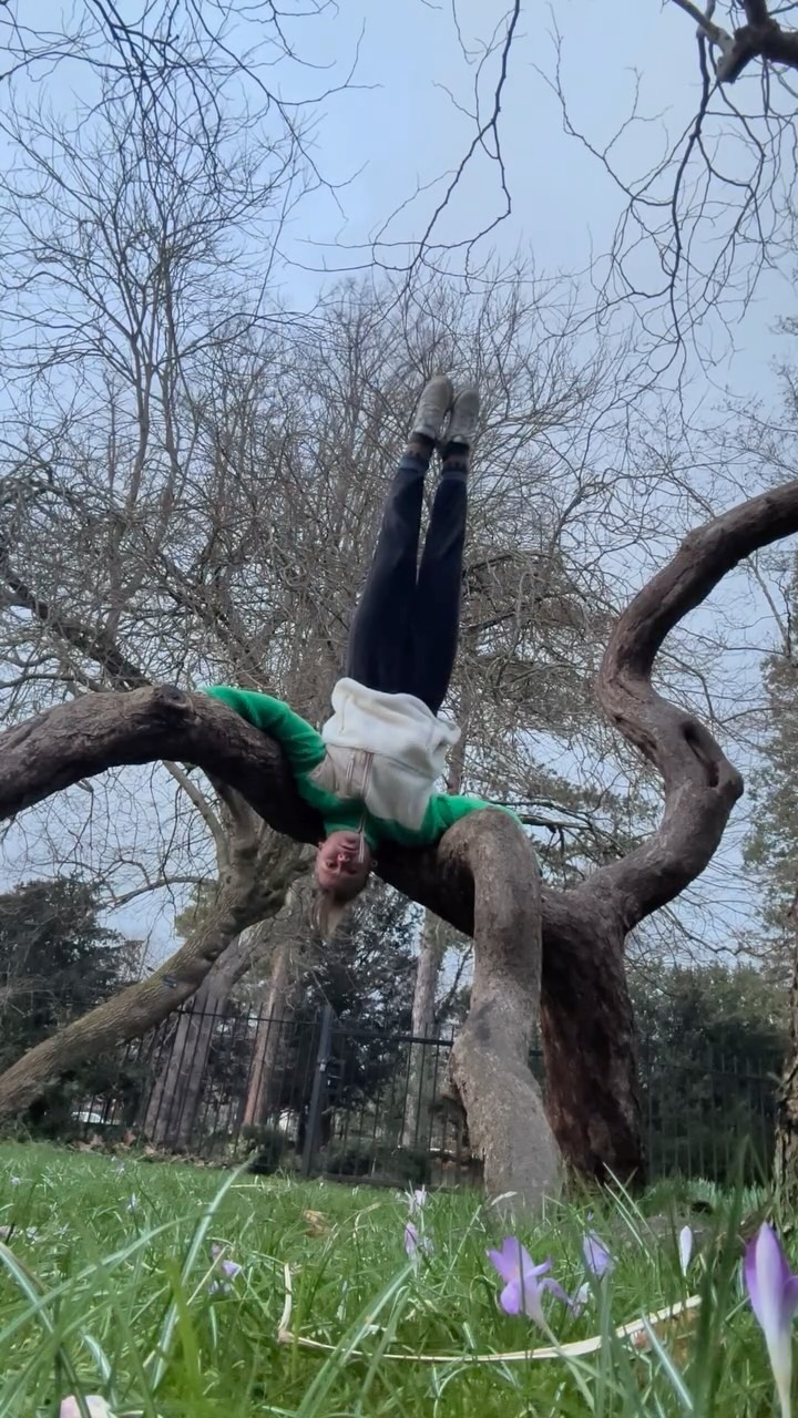 Cool tree
You’ll find undiscovered in the familiar
and familiar in the new
if you know which lens to look through.
Climbed around this tree many a times and today it resembled a headstand stool variation to me. Had to try it!