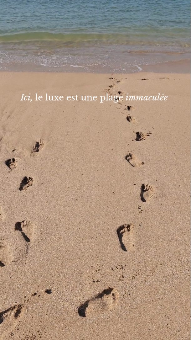 Si vous deviez ne garder qu'UNE seule plage dans nos îles de Guadeloupe ⛱️… ce serait laquelle ?
#plage #plageguadeloupe #plagesderêve #sableblanc
#guadeloupe