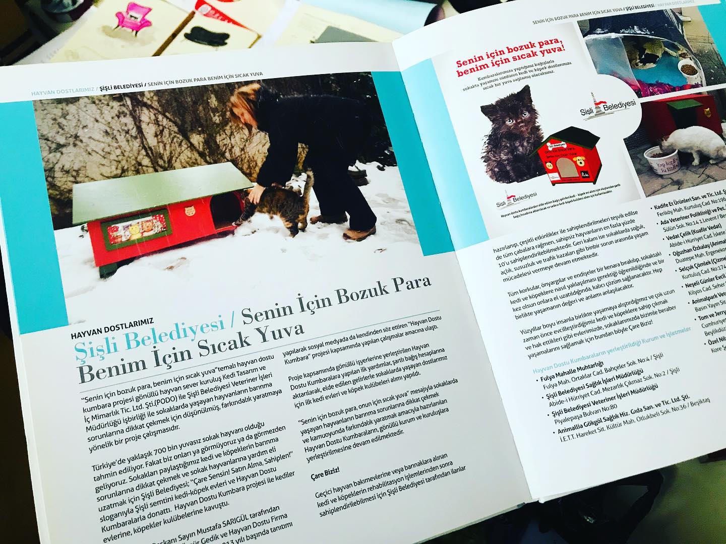 #tbf Yeni atölyemizi yerleştirirken karşımıza çıkanlar... Senin için bozuk para benim için sıcak yuva @sislibelediye si ve @sisli.rm ile yürüttüğümüz harika bir projeydi; bu projeyle sokakta yaşayan birçok patili dostu birer ev sahibi yapmıştık. Sayfalarda kalmasın, yine hatırlayalım istedik. 🤗 🏠🐾🐱🐶🐈🐾🐾🐾#seniniçinbozukparabenimiçinsıcakyuva #patilidostlar #kedi #köpek #sokaktakidostlar #kediaşkı