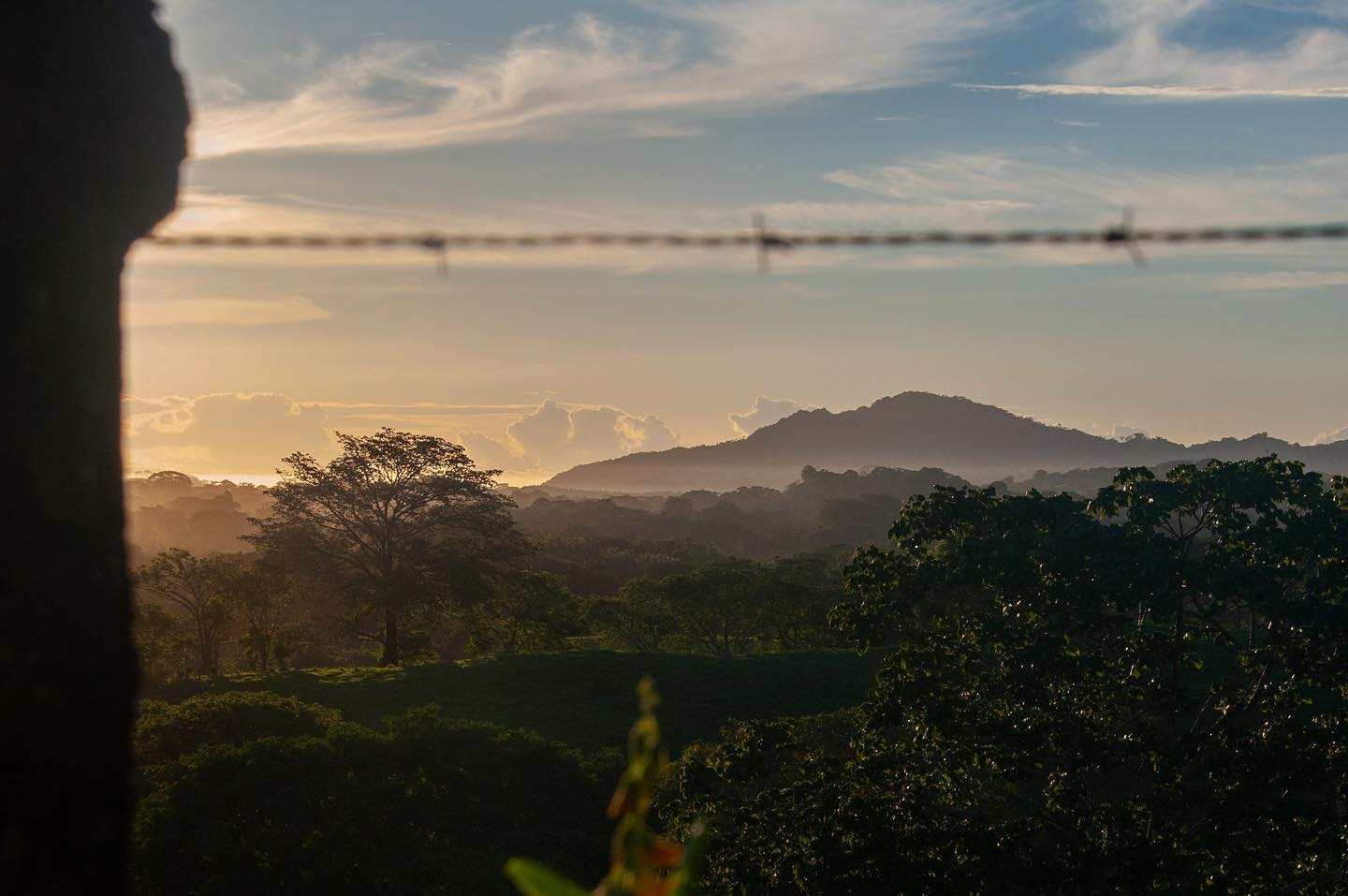 Buenos días desde la península Azuero!
#azuero #azuerosoy #cambutal #guanico #lossantos #lossantospanama #turismopanama