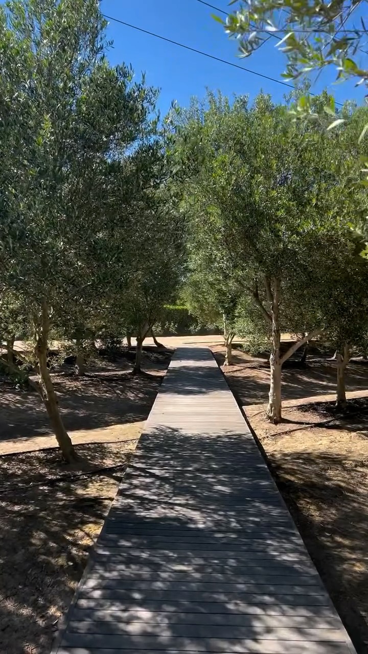 Not everywhere where you can get married between the olive trees, vineyards and mountains. ⛰️
✉️weddings@olijvenkraal.co.za
#saweddingvenue #capetownwedding