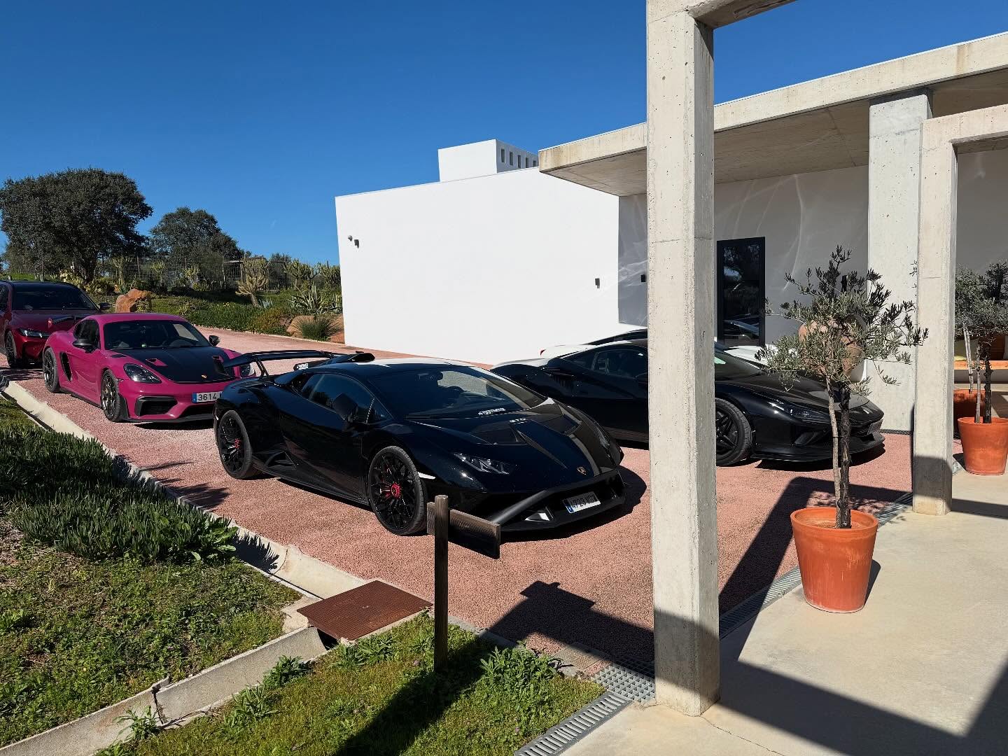 Chegaram os nossos primeiros hóspedes de hoje.
Han llegado nuestros primeros huéspedes de hoy.
Our first guests of the day have arrived.
#ferrari #lamborghini #porche #bmw
#montimerso #alqueva #monsaraz #alentejo #portugal