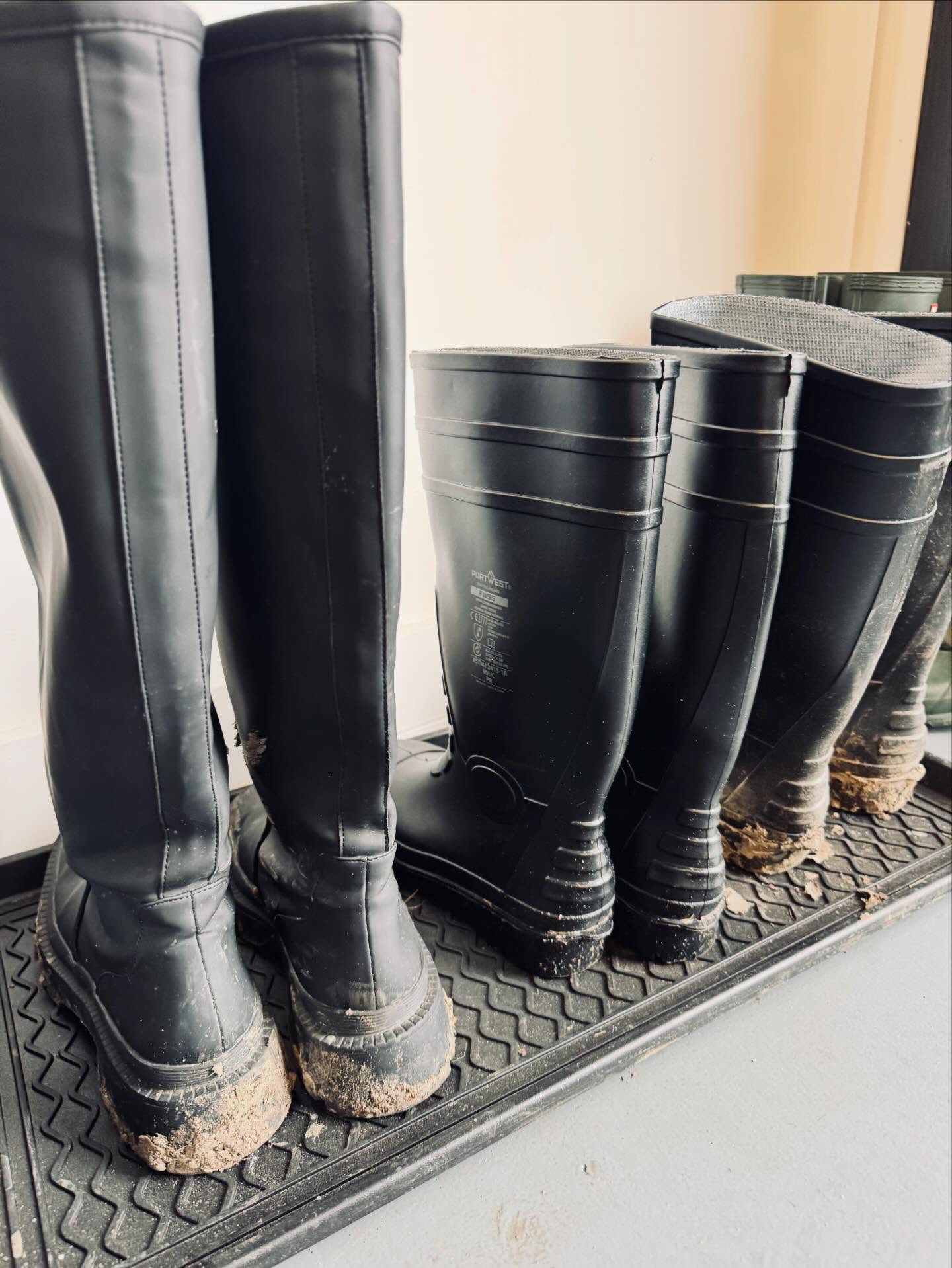 Big day on site at a new heritage luxury hotel project we are working on in the South of England. Watch this space of future updates.