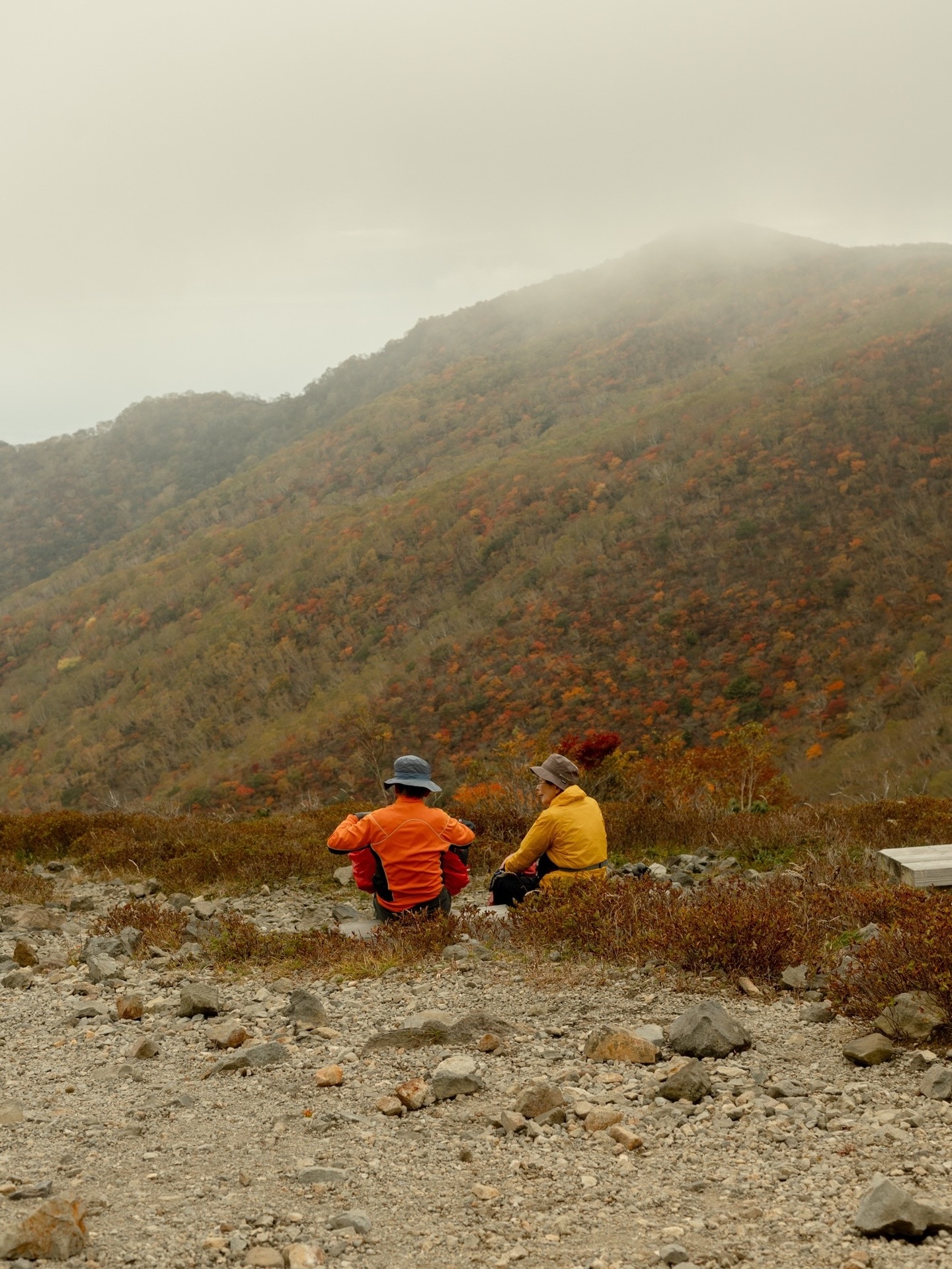 A moment to meditate surrounded by nature.
Captured for @lodestarsanthology guided by @bikedeepjapan