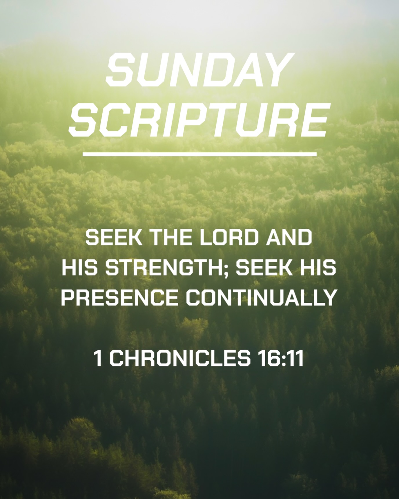 Have a great Sunday everyone!
.
.
.
#bibleverse #sundayscripture