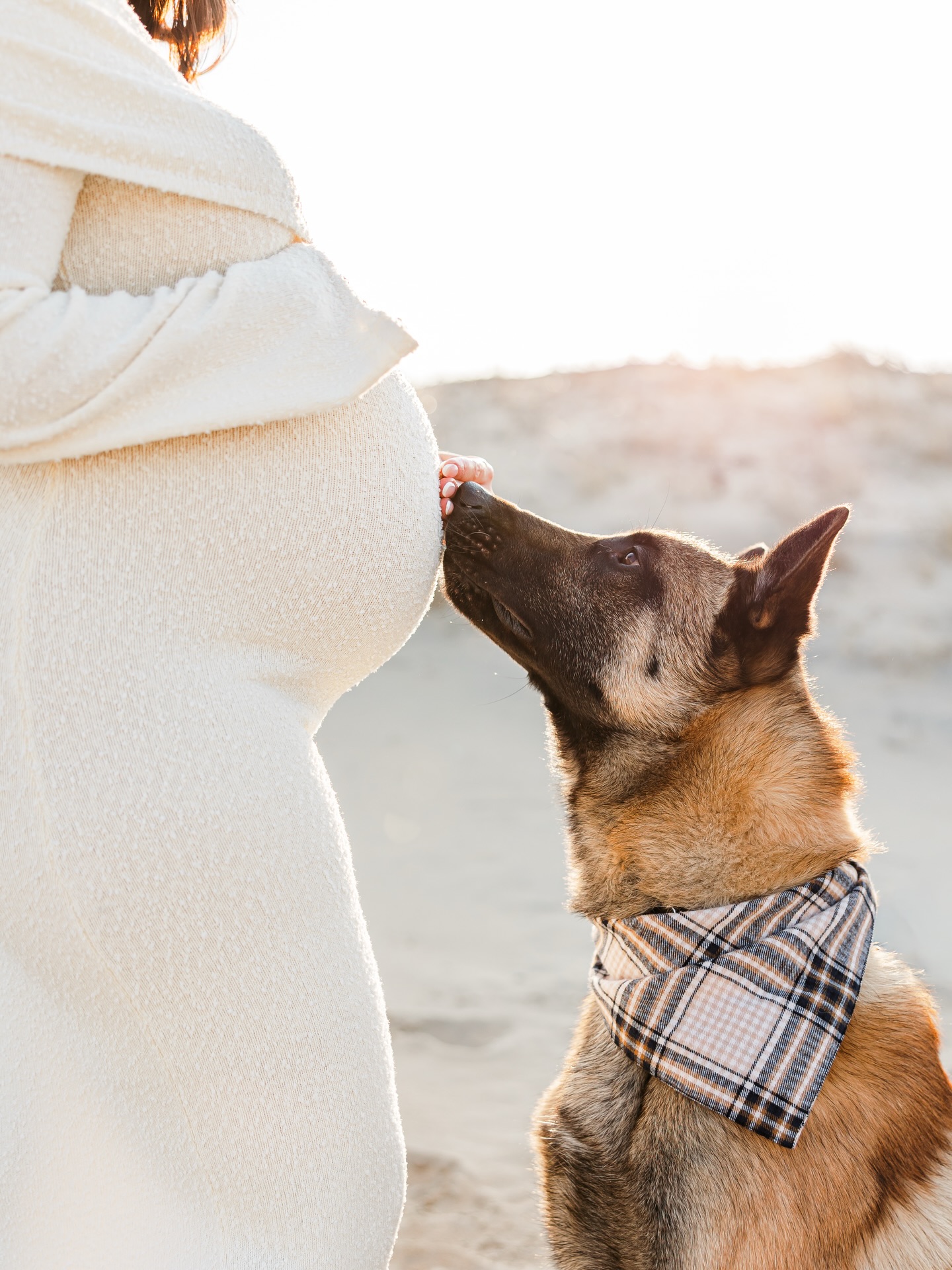Already watching over the little one he hasn’t met yet 🤍
Virginia Beach maternity photography
#VirginiaBeachMaternityPhotographer
#VirginiaBeachPhotographer
#VirginiaBeachMaternity
#BeachMaternitySession
#MotherhoodPhotography