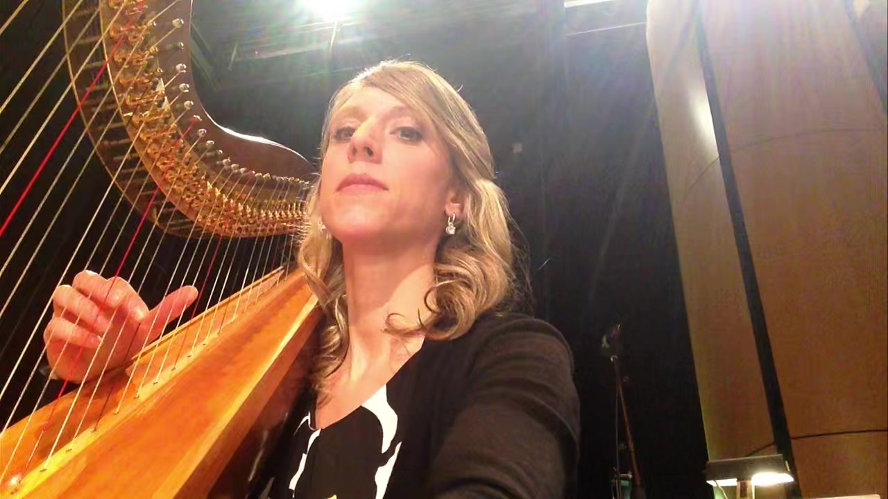 Waterloo! 🎶
Throwback to 2016 when I had the absolute BEST time playing for an ABBA concert! ❤️
#waterloo #ABBAFan #OrchestraLife #Harpist #abba #abbamusic