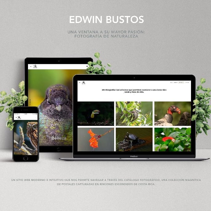 ¡Gracias a @wild_life_costa_rica por confiar en nosotros el diseño de su sitio web! Un proyecto hermoso sobre la naturaleza de #costarica ¡los invitamos a seguirle!