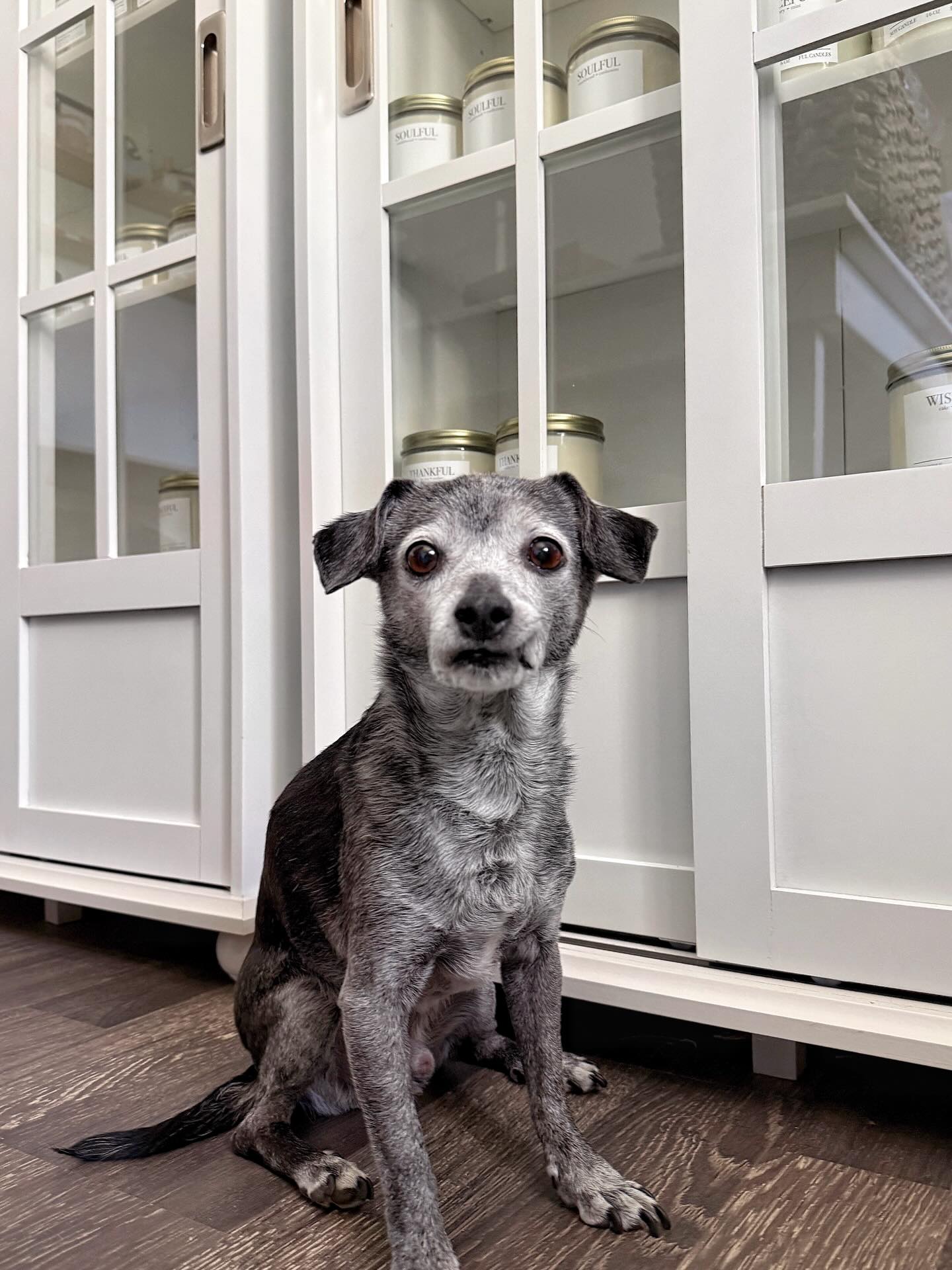 Branch manager reporting for duty.