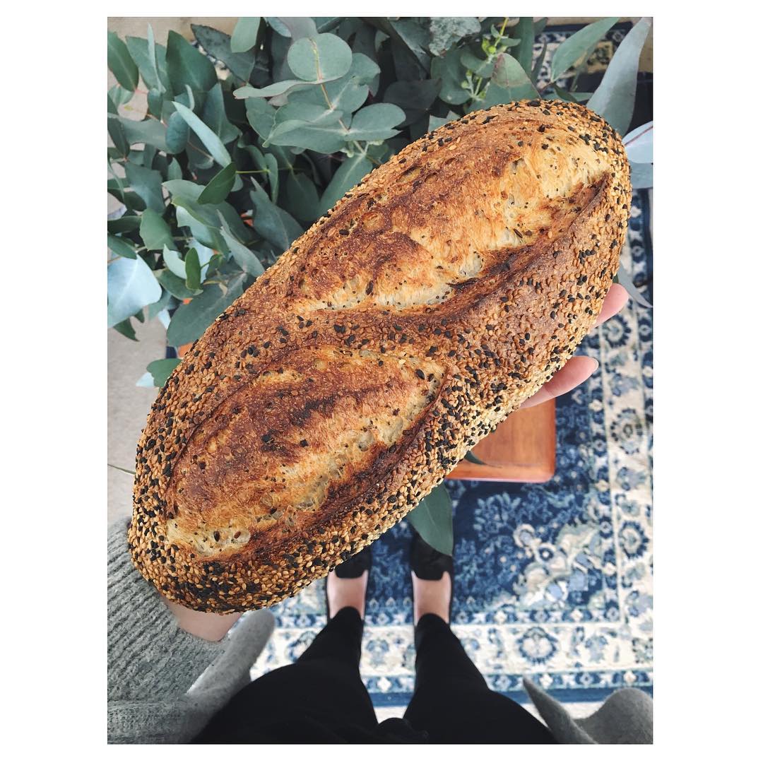 Early bird catches the worm •• Fresh seed and grain loaf + some gum leaves for the house 🌱🍞❤️