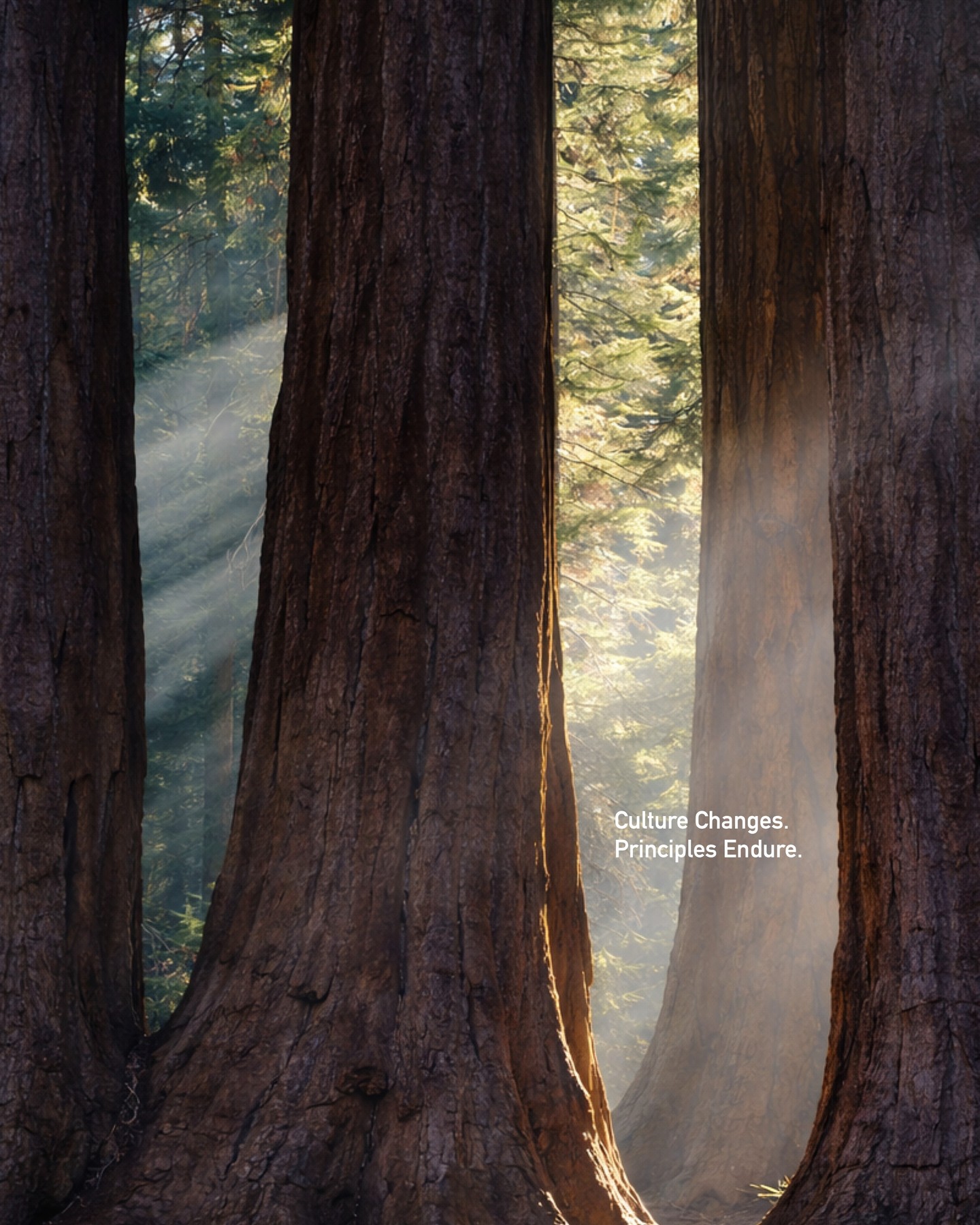 Trends expire.
Foundations compound.
Choose wisely.
#BrandPrinciples #LOLA