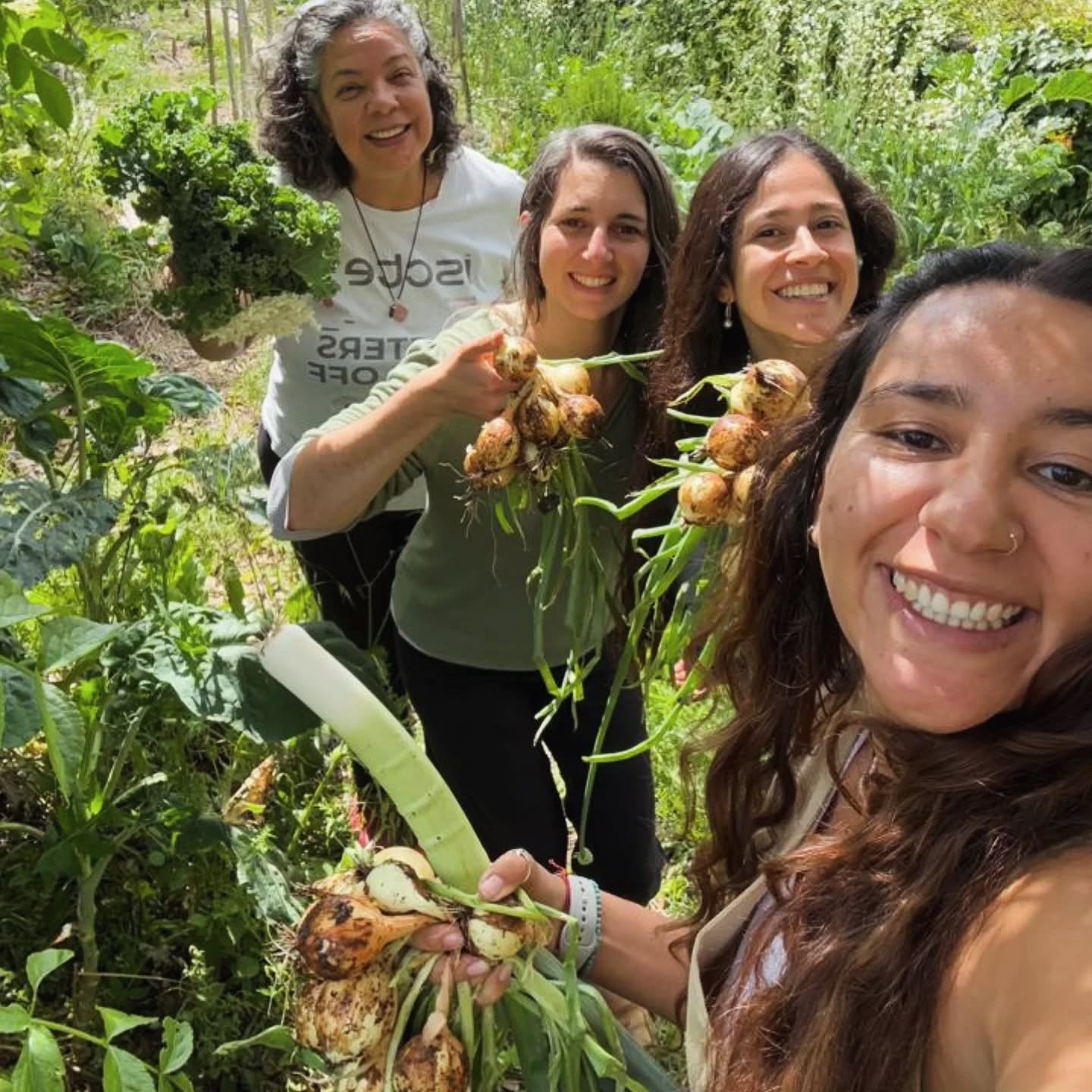 🌿 Entre risos, terra nas mãos e colheitas partilhadas nasce uma nova forma de estar!
Há algo especial em colher juntas, plantar juntas, partilhar o que cresce e transformar pequenos gestos em memórias. Cuidar de uma horta é muito mais do que apenas produzir alimento, é também conexão, aprendizagem e crescimento a muitos níveis diferentes. É algo que temos vindo a descobrir aqui na Quinta da Carvalheira!
E é exatamente essa experiência que vamos passar nos Workshops de Técnicas de Permacultura (2 e 3 de Maio) com a Julhiana Costal da ArboreSer: Escola de Permacultura e Agroecologia.
Um fim de semana para abrandares, experimentares, aprenderes e ganhares confiança para produzir o teu próprio alimento.
Vais descobrir como semear, cultivar em pequenos espaços, criar canteiros de baixa manutenção e reconhecer plantas comestíveis que muitas vezes passam despercebidas.
✨ Vem aprender, pôr as mãos na terra e criar mais autonomia na tua vida.
💛 Early bird disponível até 15 de março
📍 Quinta da Carvalheira, Soure, Coimbra
👉 Inscrições abertas (link na bio ou mensagem)
#permacultura #hortaemcasa
#autonomiaalimentar #agroecologia
#panc