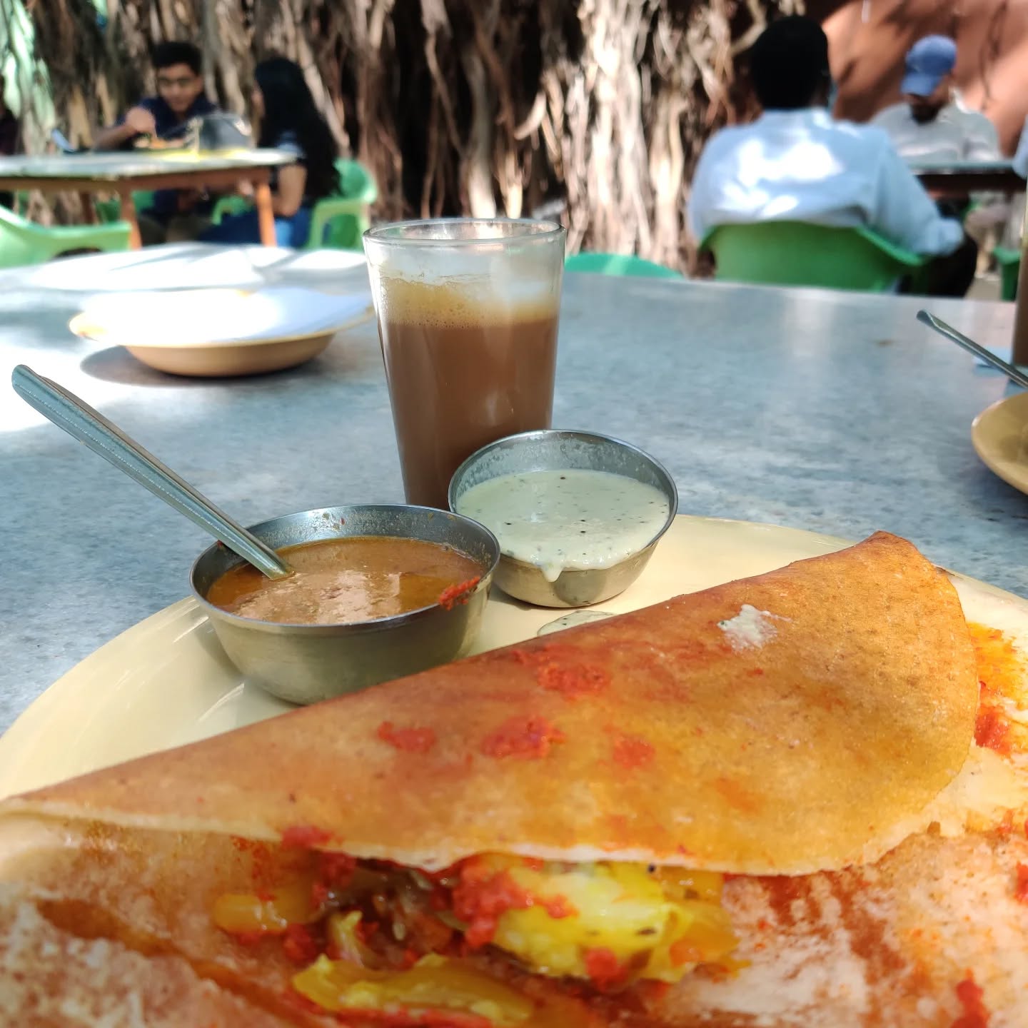 Although I continue to live in Bangalore, I carry a strange feeling of displacement.
Bangalore has been that one great love affair of my life. Lately, there have been too many changes to this place I call home. The familiar feels altered. In moments like these, I find myself returning to the Bangalore I once knew.
This is an ode to one such place.
Read more at the link in bio.