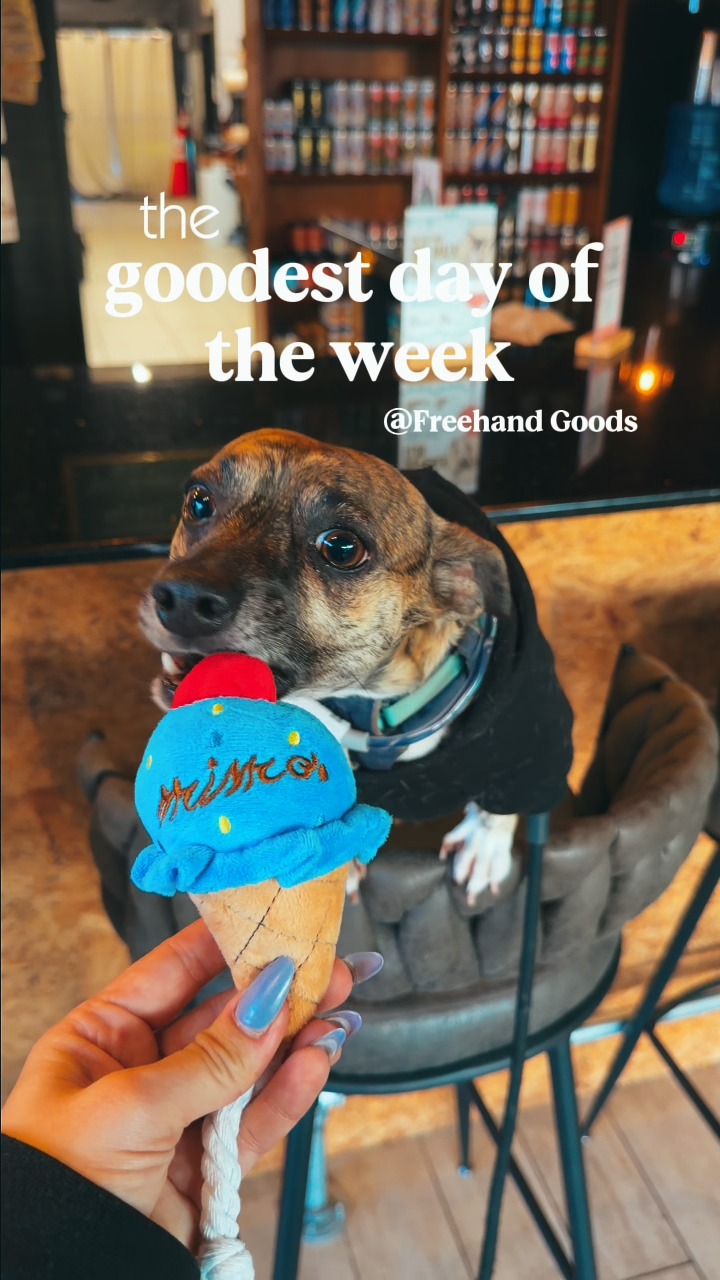 One year ago, @freehandgoods started a weekly dog walk with a handful of neighbors and a few very good dogs.
Now it’s a full-on pack.
@tinytigerbru is so excited every Wednesday night, and, honestly, me too. It's my favorite way to get my final steps in for the day.
Cheers to a year of paws and pints, and many more walks together. 🐾