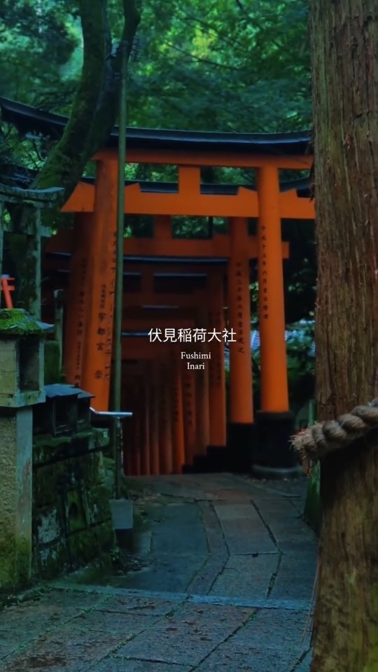 Hello Fushimi Inari
Beyond beauty