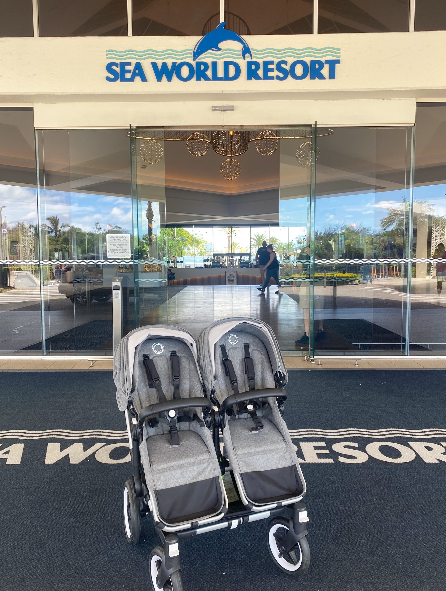 Front row parking at Sea World Resort🐬
Delivering… and then taking my own little baby in to enjoy SeaWorld as well.
One of the sweetest parts of this job 🥰 #holidaywithbaby
#pramhiregoldcoast #goldcoast