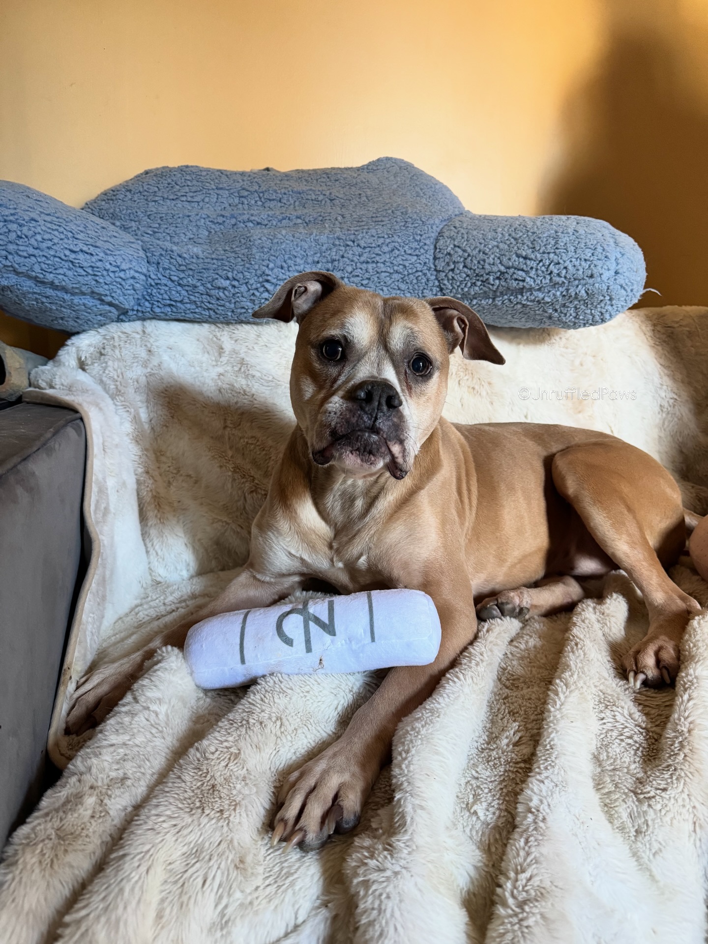 If you know Sonnie, you understand how ironic it is that his favorite toy is a bar of Xanax…