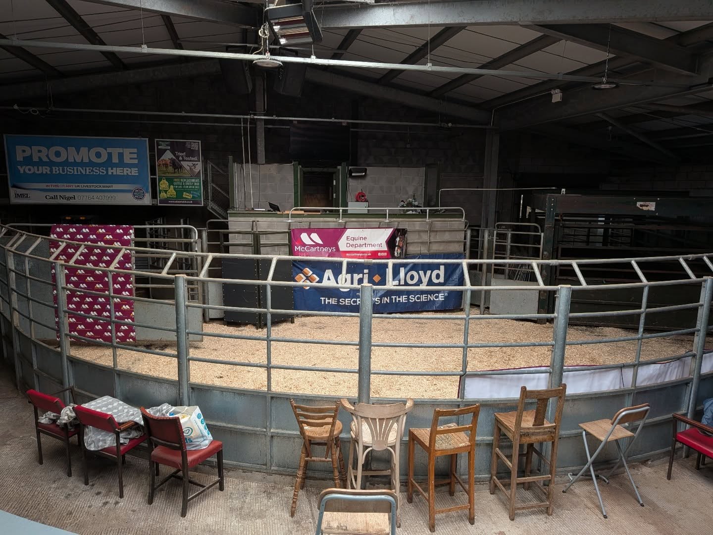 🐴 The Calm Before the (Horse-Powered) Storm...
Ever wondered what a horse auction looks like before the organized chaos begins? Well, here it is in all its quiet glory at Brecon Market!
Right now, it’s just us, some fresh sawdust, and empty chairs—but soon, this ring will be buzzing with energy, the rhythmic chant of the auctioneer, and some of the finest horses around.
🚚 Need a Lift?
At Dorset Smallholding, we don’t just watch the action; we’re here every single month! Whether you’ve found your next superstar or you're looking to find a new home for a current one, we’ve got you covered:
Headed to Sale? We can transport your horses up to Brecon safely and professionally.
Just Bought? If you’ve bagged a beauty, we’re available to deliver your new addition straight to your door.
📱 Can't Make it in Person?
The auction is run by the fantastic team at McCartneys, and you don't even have to leave your sofa to join in. You can catch the whole sale online via the MartEye App. Just try not to "accidentally" bid on five different ponies... we've all been there!
Get in touch today to book your transport slot for the next sale. Let’s get those hooves on the move! 🚛💨
#BreconMarket #HorseAuction #McCartneys #MartEye #DorsetSmallholding HorseTransport EquineLife CalmBeforeTheStorm