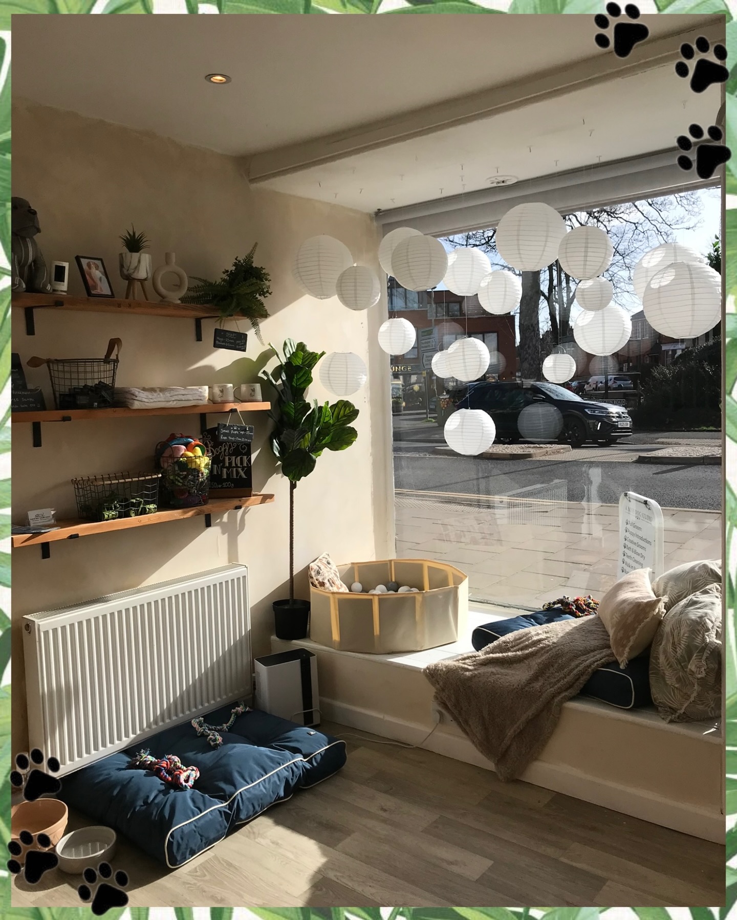 Fresh new vibes at Knine Dog Studio ✨🐾
We’ve had a little glow-up and we’re obsessed with how it’s turned out! Our revamped layout has opened up the space to create a more luscious, airy waiting area – filled with natural light, calming greenery and a cosy window seat so you (and your pup!) can relax in comfort before appointments.
What’s new? 👇
🛏️ Brand new dog crates, all set up with plush cushions and snuggly blankets to keep your fur babies comfy and settled.
🎾 A fun new ball pit for enrichment, play and confidence-building (because grooms should be fun too!).
🛍️ Fresh new shop items – from treats to toys and must-have goodies, there’s something for every good boy and girl.
We’ve created a space that feels calm, welcoming and thoughtfully designed with your dogs’ comfort at the heart of it all. We can’t wait for you to see it in person!
Pop in, say hello and let us know what you think 💛🐶
#KnineDogStudio #DogGrooming #DogLovers #SalonRevamp