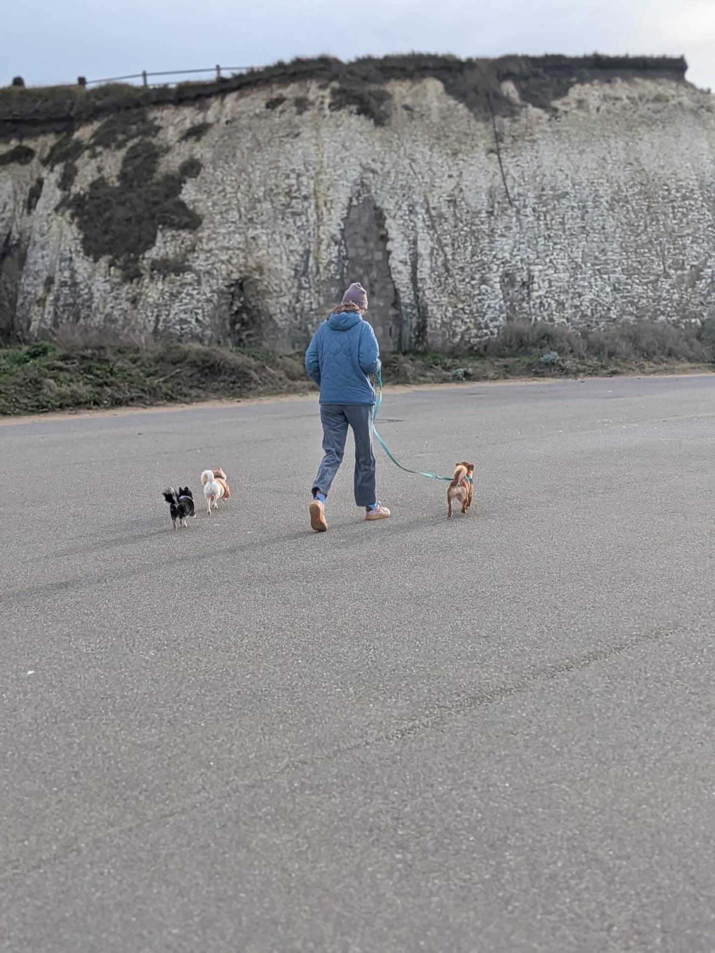 My perfect Sunday: Slow wake up, kisses and cuddles in bed with the dogs, matcha green tea, domestics, perhaps a visit down to Margate for a coffee and mooch with Dave and most of all walking our dogs by the seaside 🌊 🌞 (don’t worry I work on Sunday’s too, spending time with your pets is my favourite, any day of the week