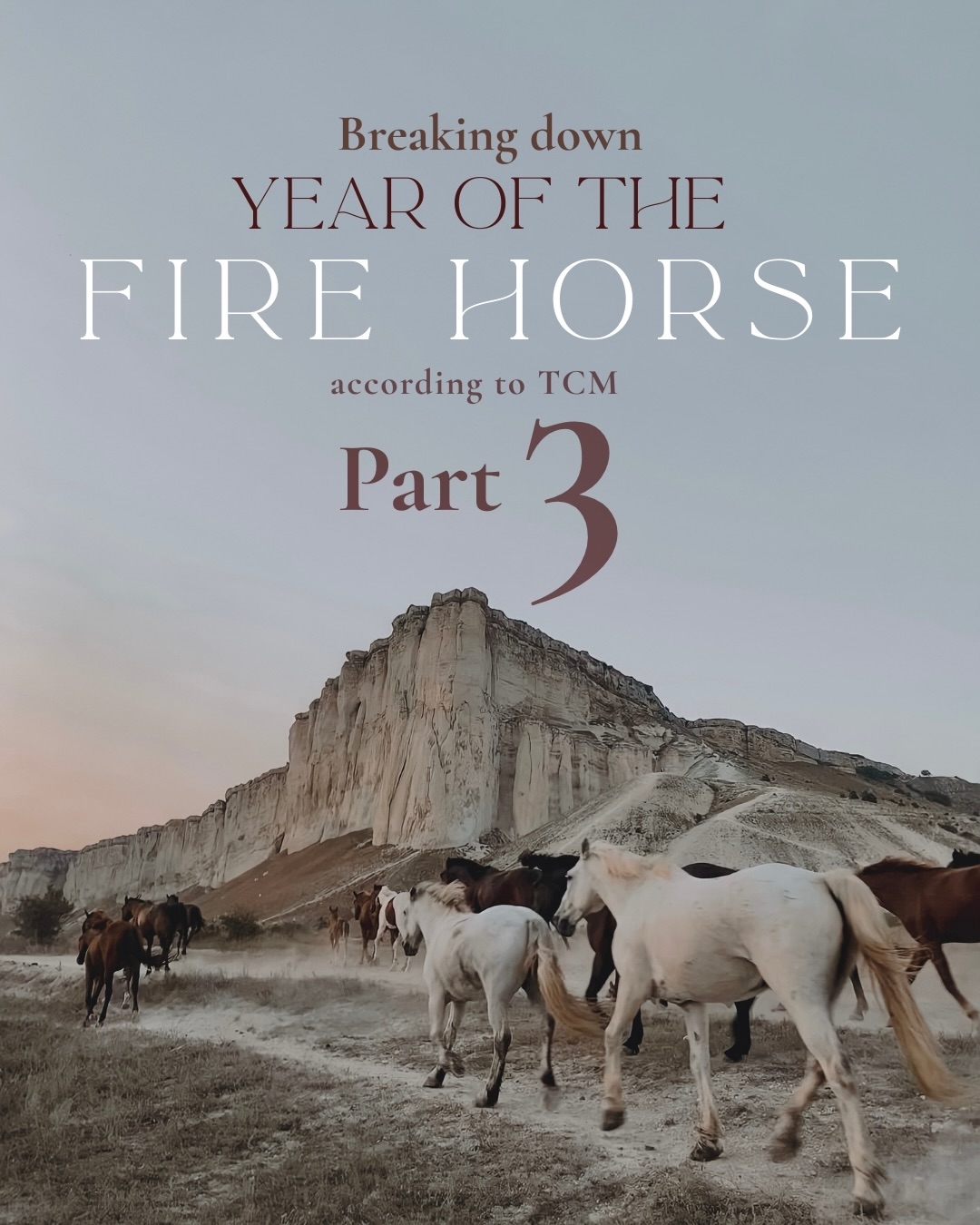 Letâs continue on in our mini series, breaking down the âYear of the fire horseâ looking at on the health portion of the year of the horse according to TCMđ„
âą
âą
âą
#yearofthefirehorse #yearofthehorse #tcm #örtriket #tcmwisdom