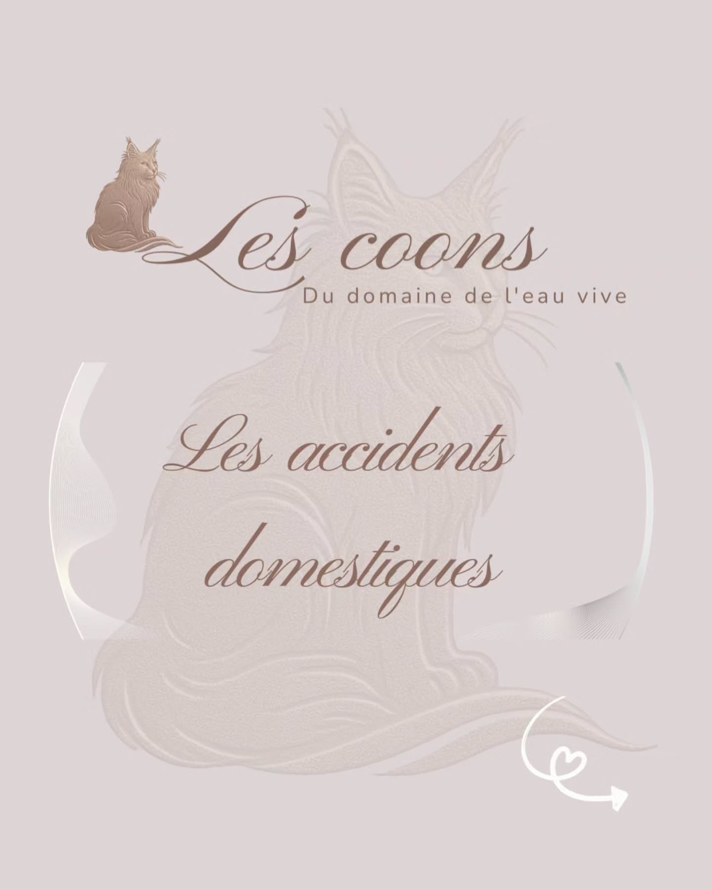 ⚠️ Escaliers, plaques chaudes, plantes toxiques… la maison cache parfois des dangers !
Un intérieur sécurisé limite les accidents du quotidien.
Avec bienveillance 🤍
Carine Zimmermann
Affiliée au Cat Club Romand
Domaine de l’eau vive
1724 Bonnefontaine
+41 79 281 93 88
#amoureuxdeschats #mainecoon #sécuritéchat #mainecoonlife #bienetrechat