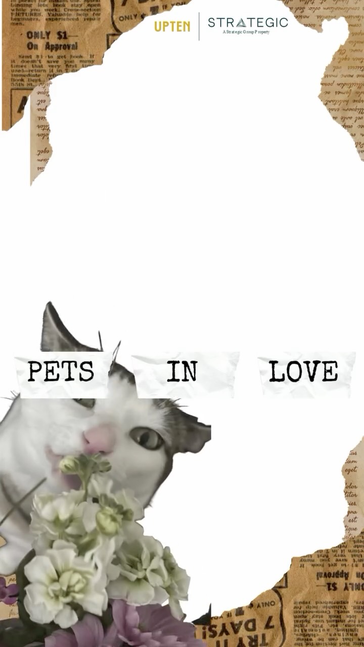 In February, we celebrated Pets in Love - a special contest dedicated to the unconditional love we share with our furry friends. 🐾❤️
As a proudly pet-friendly community, we love seeing the special bond that makes every tail wag, every purr louder, and every day a little brighter.
This contest was all about capturing those heart-melting moments that bring pure joy into our lives.
Thank you to everyone who participated and showcased just how much love our four-legged residents bring to our communities every single day.
#upten #downtowncalgary #cityviews #apartmentliving #calgaryrentals beltlineliving modernrentals