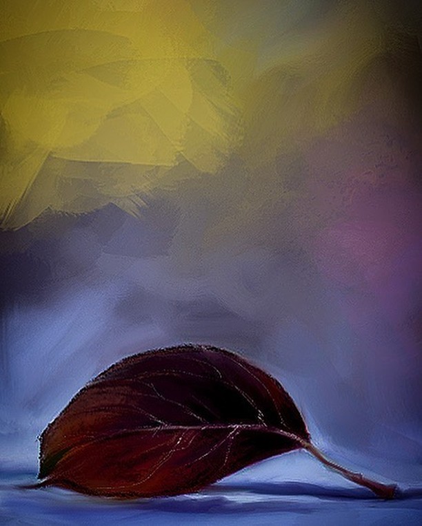 Fallen. #procreate #procreateart