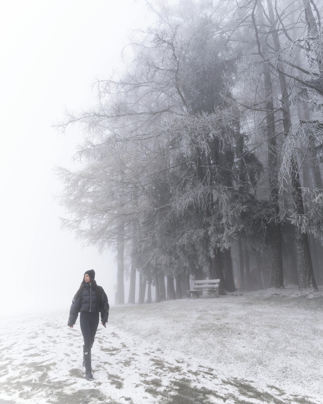 Late winter walks have a magic of their own 🌲
Bare branches, open views, and peaceful paths make this the perfect time to explore Sherwood Forest and beyond, calm, crisp, and beautifully still.
#VillageHolidays #WinterWalks #ExploreNottinghamshire