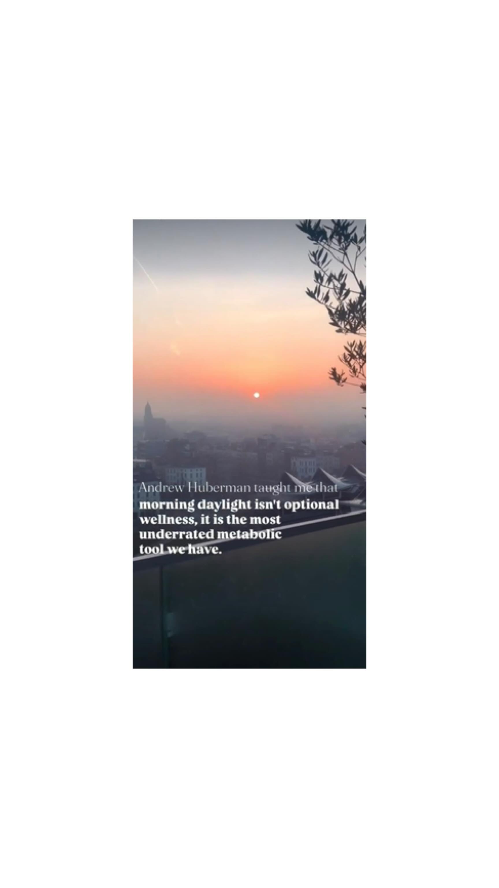 “Morning daylight isn’t optional wellness, it is the most underrated metabolic tool we have.” - @hubermanlab
So get outside within 30 minutes of waking up for 5 - 15 minutes & literally feel yourself change.
It is the first thing I do - always!
It brings not only benefits for metabolic, cognitive, immune & circadian health but also a sense of awe, calm, joy, connection that all contribute to a general sense of peace, wellbeing & contentment.
It truly is magic you get to experience every morning ☀️
And my @biotona.superfoods extra premium matcha 🍵 & Summer 🐶 only add to my joy, health & wellbeing 😍
.
.
.
.
.
#SunRise #CircadianHealth #LightTherapy