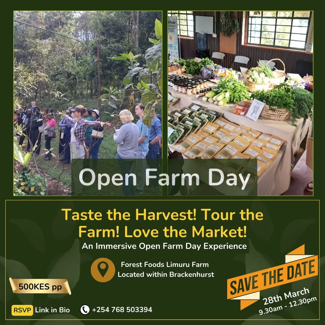 Curious about regenerative farming? 🌾
Come walk the farm with us, explore our syntropic agroforestry model, taste fresh creations from our Solutions Kitchen, and shop directly from our harvest at the farmers market.
KES 500 per person
Secure your place via the link in bio.
#regenerativekenya #sustainableagriculture #farmtour #sustainablefarming #localfood