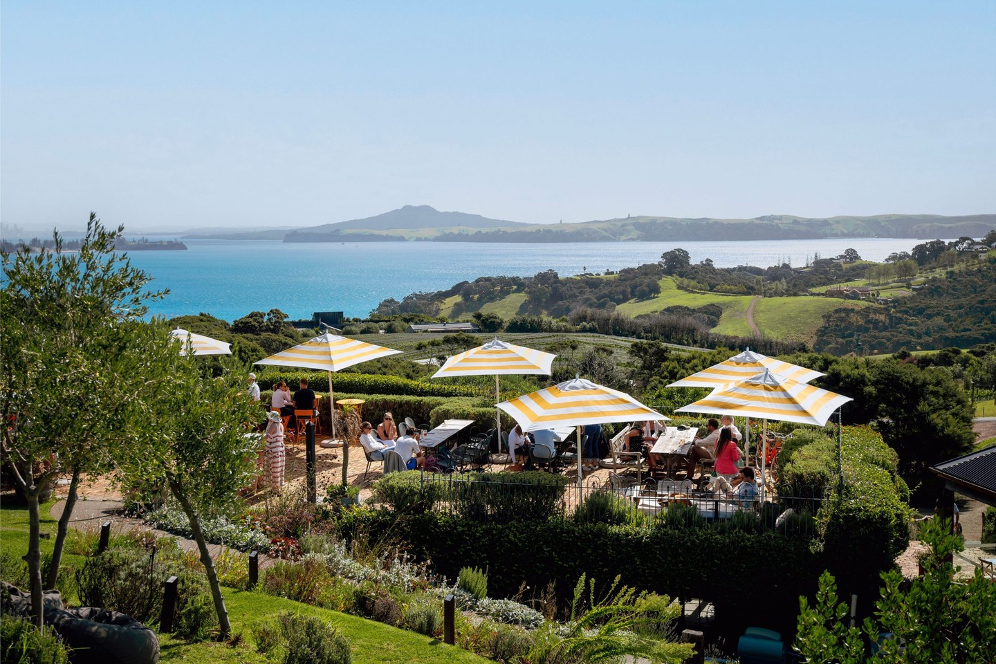 A morning ferry.
A vineyard table.
A glass of red overlooking the Hauraki Gulf 🍷🌊
Waiheke Island has quietly become one of New Zealand’s most compelling food and wine destinations - and it’s far more than just a day trip.
We’ve shared our favourite vineyards, dining spots, and insider finds in our Travel Journal.
Read more via the link in bio.
#JourneySouthTravel #WaihekeIsland #FoodAndWine #NewZealandTravel #LuxuryTravel #WineLovers #IslandEscape #Foodie #WineLover