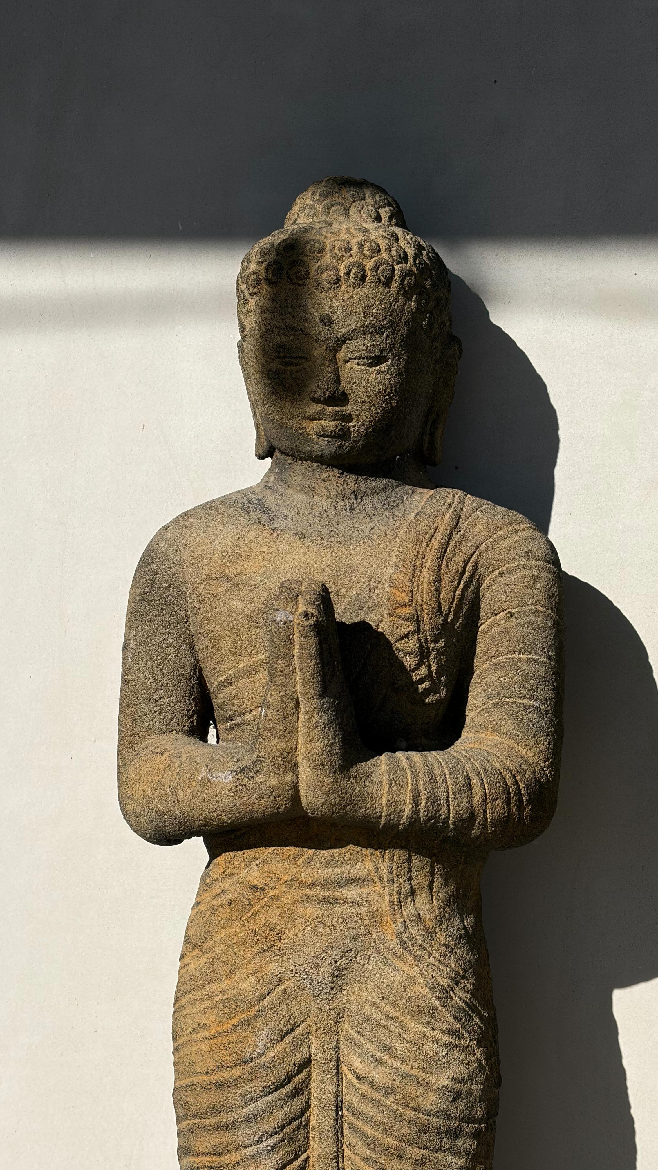 7 weeks until @stagecoach & the pool at @theaerie.joshuatree is officially in progress.
#joshuatree #strmanagement #festivalseason #poolbuild