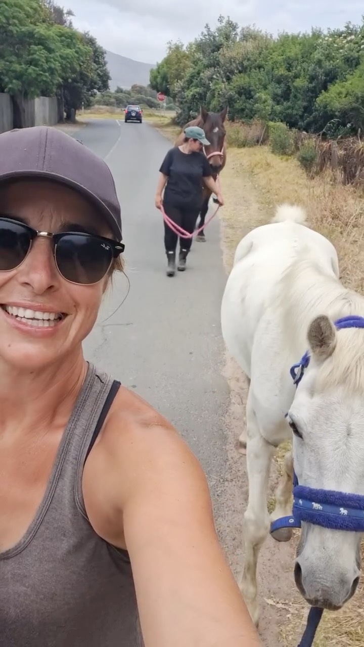 Happy New Year from all of us at Tom Ro Haven. As we look back on the year gone by, we are reminded of just how many ups and downs we have faced, and through it all, we are deeply grateful for the love, kindness, and unwavering support shown to us by so many.
Every message, every helping hand, and every moment of encouragement has meant more than words can ever express. As we step into the new year, we do so with hearts full of gratitude, choosing love, hope, and positivity despite the challenges that lie ahead. The year 2026 will bring significant changes for the Haven as we begin the journey of finding a new place to call home, and while change can be daunting, we remain hopeful, resilient, and strong. We are endlessly thankful for the beautiful community that stands beside us, and it is because of this support that we can look forward with excitement and faith in what the future holds.
We wish everyone a very Happy New Year and hope that the year ahead brings you a wonderful beginning filled with peace, joy, and possibility.