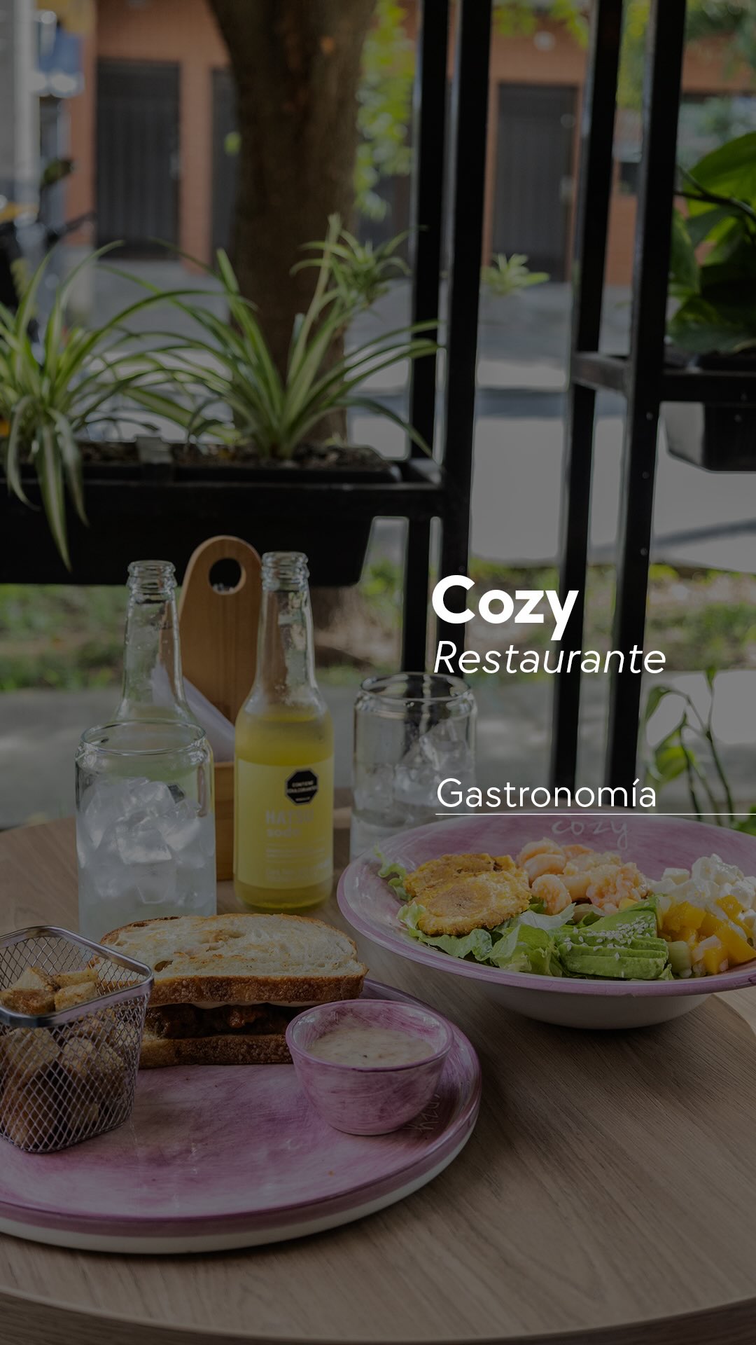 🍴Restaurante @cozyensaladas
🍽️ Festival @sanovidaconsciente