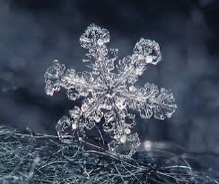 Due to the forecast of freezing rain tonight, we will be closing early at 4 pm for the safety of our staff and customers. We appreciate your understanding and we will be open normal hours Tuesday 3/3 at 11 am.