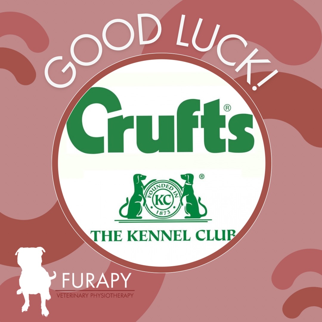🐾 It’s Crufts week! 🐾
Good luck to all my clients and their gorgeous dogs who have entered this year, hope you have a great time!