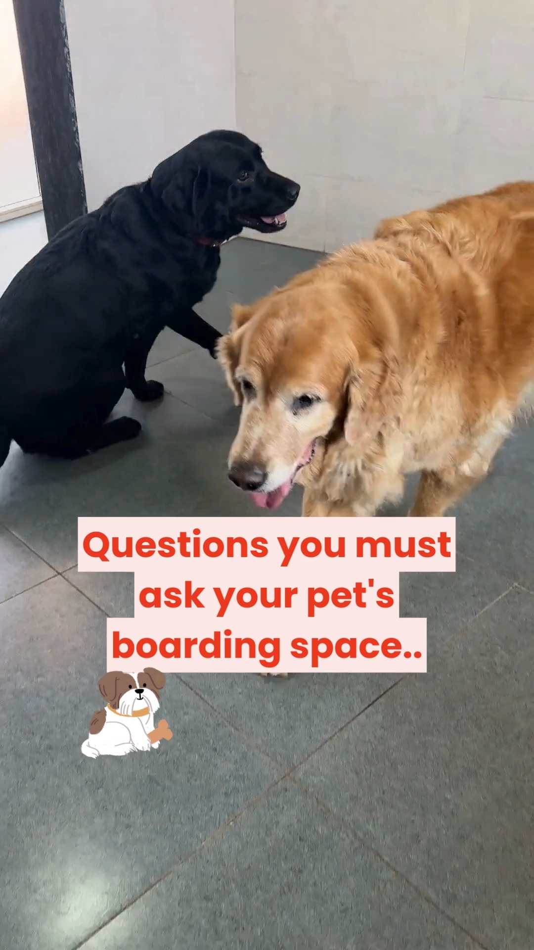 Questions you MUST ask your pet’s boarding space before you book!
Not all boarding facilities are the same — and the right questions can be the difference between a stressful stay and a second home ❤️
Here’s your pre-boarding checklist 👇
✔️ Is there 24/7 trained staff & vet access in case of emergencies?
✔️ How are pets grouped — by size, temperament, or kept individually?
✔️ What does a typical day look like (walks, playtime, rest time)?
✔️ Are hygiene & disinfection protocols followed daily?
✔️ Will I get updates, photos, or videos of my pet?
✔️ How do you handle pets that don’t eat, feel anxious, or need medication?
✔️ Is there a trial day / temperament assessment?
Because peace of mind for you = a relaxed holiday for them 🐶🐱✨
📌 Save this before your next trip
📤 Share with a pet parent planning a vacation...PSSST: Cessna Pet Retreat has all of the above taken care of very well..just FYI ;)
#cessnalifelineveterinaryhospital #cessnalifeline #20yearsofcessnalifeline #petboardingchecklist #petretreat #petboardingindia #responsiblepetparent #petvacation #petcaretips #dogboarding #catboarding