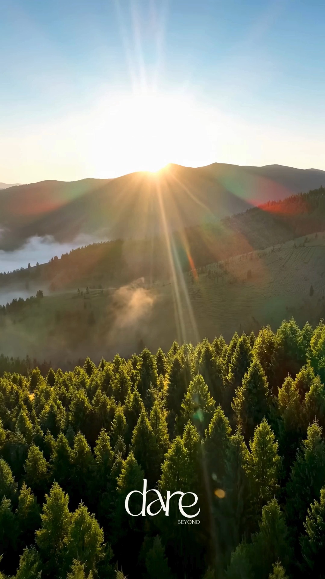 Strength is praised.
Especially at work.
Especially in leadership.
So we hold ourselves together.
We keep going.
We don’t show the cracks.
Not because we don’t feel — but because somewhere we learned:
“Being strong is safer than being vulnerable.”
Maybe you had to grow up early.
Maybe there was no space to fall apart.
Maybe being strong became your way of staying in control.
Over time, this becomes a habit.
And then, a self-image.
So pause and ask gently:
Who are you when you are not trying to be strong?
Sometimes the most powerful thing we can do is allow ourselves to soften — even a little.
#DareBeyondImmersion #IntegralLeadership #Wholeness #Consciousness #LeadershipCoaching