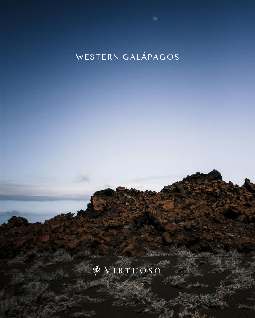 Explore the western Galápagos on an eight day journey filled with hikes, zodiac landings, lagoon crossings, and wildlife encounters across Santa Cruz, Isabela, Fernandina, Rábida, and North Seymour. Aqua Mare elevates the expedition with gourmet dining, thoughtful service, and an intimate superyacht setting. 🐢🏝️
Let's work together to plan your Galápagos getaway:
(647) 576-7110
info@wayyzatravel.com
#VirtuosoTravel
#bookwithwayyza #thewayyzaway