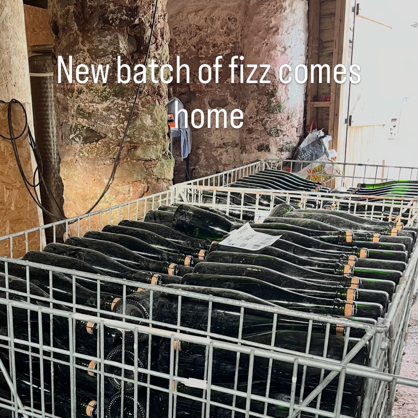 Our next batch of 2023 sparkling Kernling is home from @castlewoodwines in #devon where it’s been for disgorging! 15 months on the lees for this batch gives it a little more of that champagne style biscuity taste. And it’s got new muselets and corks with Oatley on the tops!
.
Yes we did open a bottle. Dry, stylish and VERY moreish! 🍾🥂😍