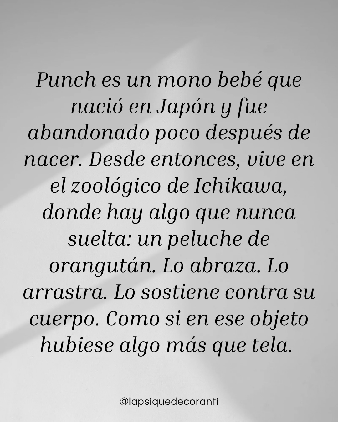 A veces decimos (o escuchamos) que no deberíamos necesitar tanto a los demás.
Que deberíamos poder solos.
Que buscar aceptación es debilidad.
Pero Punch, este mono bebé que abraza su peluche, nos recuerda algo que el cuerpo nunca olvidó:
No se aferra al peluche porque sea un objeto.
Se aferra porque representa contacto.
Porque calma.
Porque el sistema nervioso necesita sentir que no está solo.
El vínculo no es un capricho emocional.
Es una necesidad biológica.
No vinimos al mundo preparados para autorregularnos en soledad.
Vinimos al mundo preparados para regularnos en presencia.
Por eso, muchas veces, el dolor no está sólo en lo que ocurrió.
Está en no haber tenido a quién acudir cuando ocurrió.
Y sanar no consiste en dejar de necesitar.
Consiste en permitir que, esta vez, haya alguien.
Alguien que se quede.
Alguien que sostenga.
Alguien que no sea un sustituto.
Porque no hay nada roto en ti por necesitar vínculo.
Hay algo profundamente humano.
Y profundamente vivo.
—
#apego #vínculo #punch #regulaciónemocional #traumainfantil